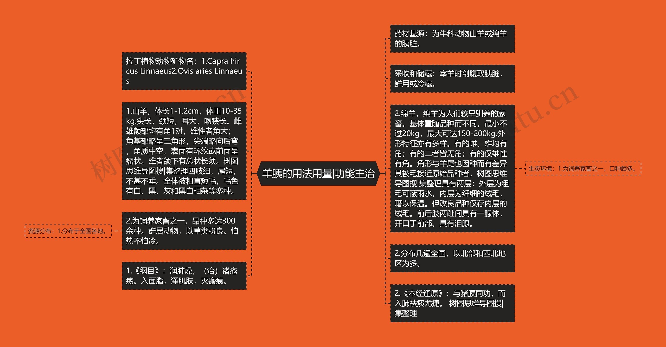 羊胰的用法用量|功能主治 羊胰的用法用量|功能主治