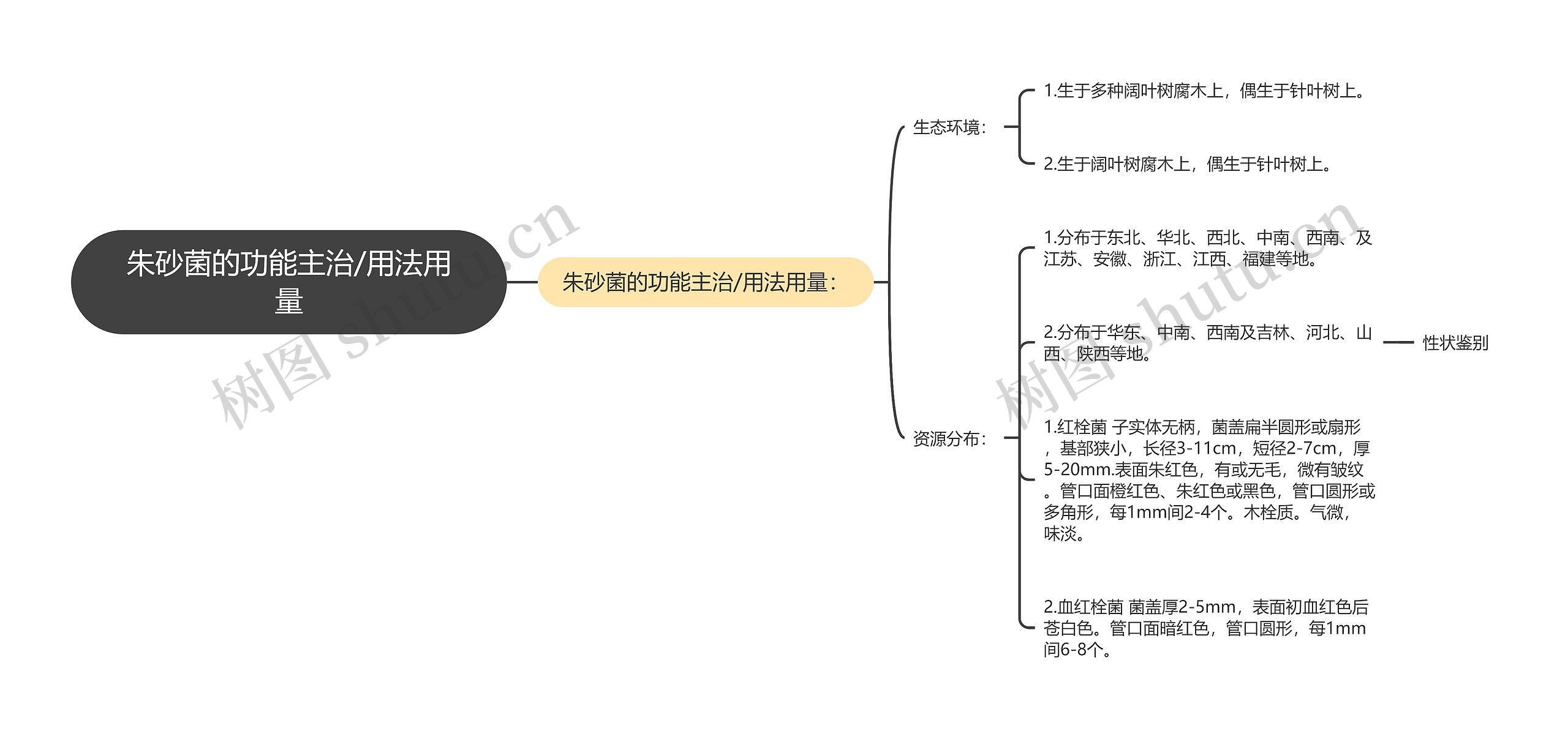 朱砂菌的功能主治/用法用量