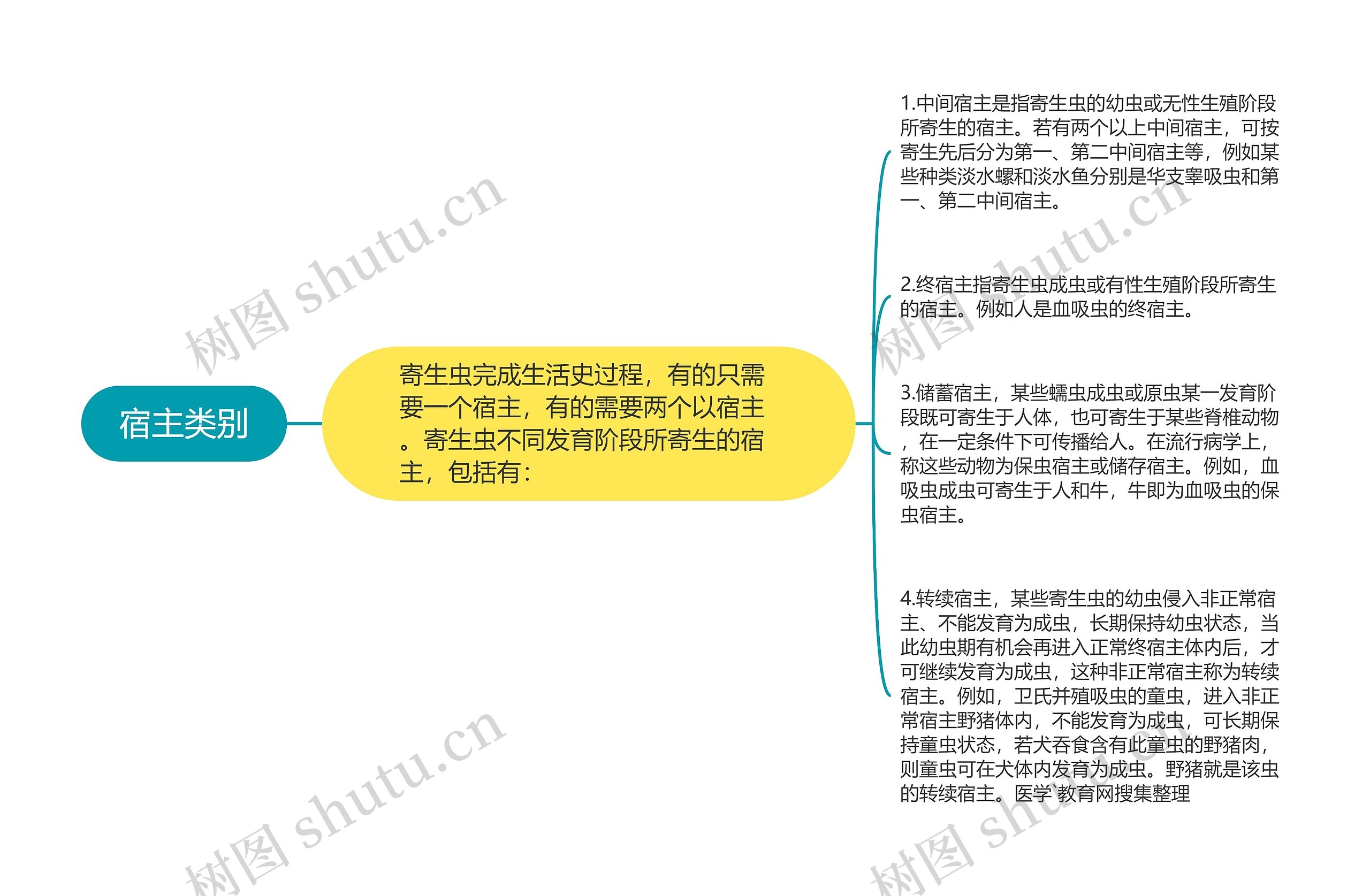 宿主类别思维导图