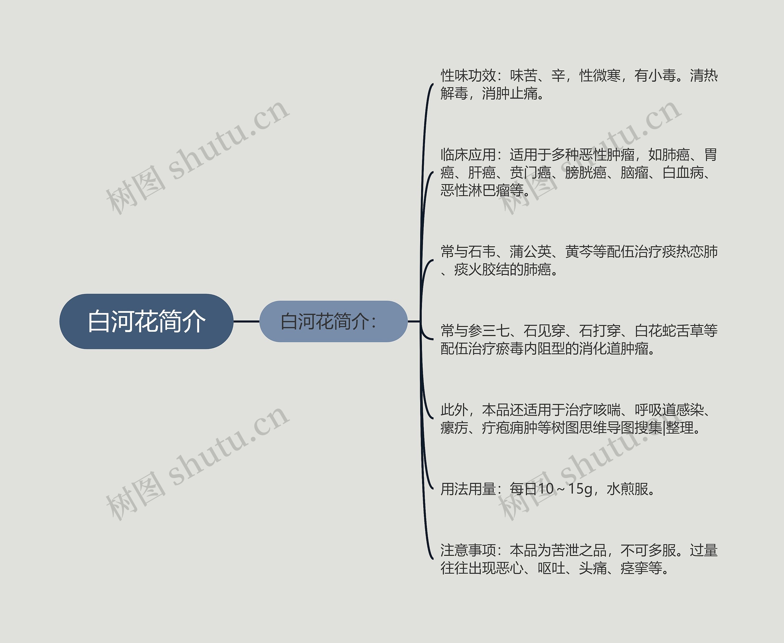 白河花简介思维导图