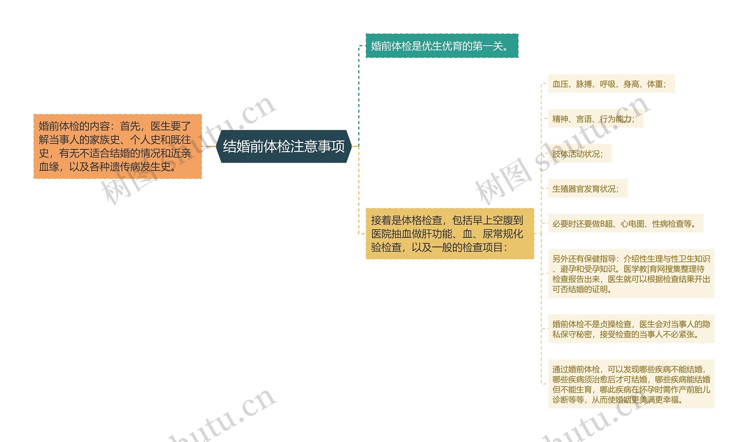 结婚前体检注意事项思维导图