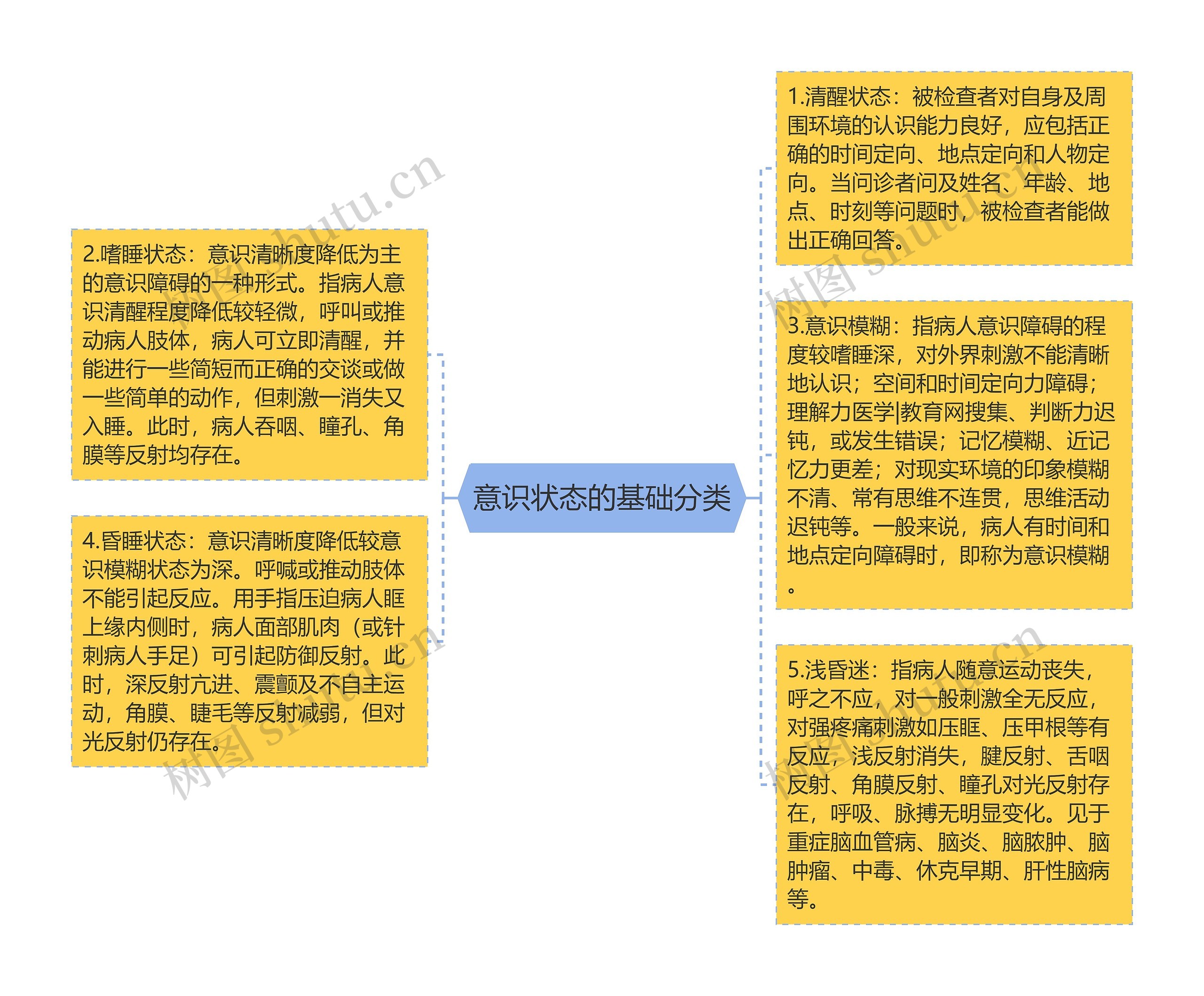 意识状态的基础分类思维导图