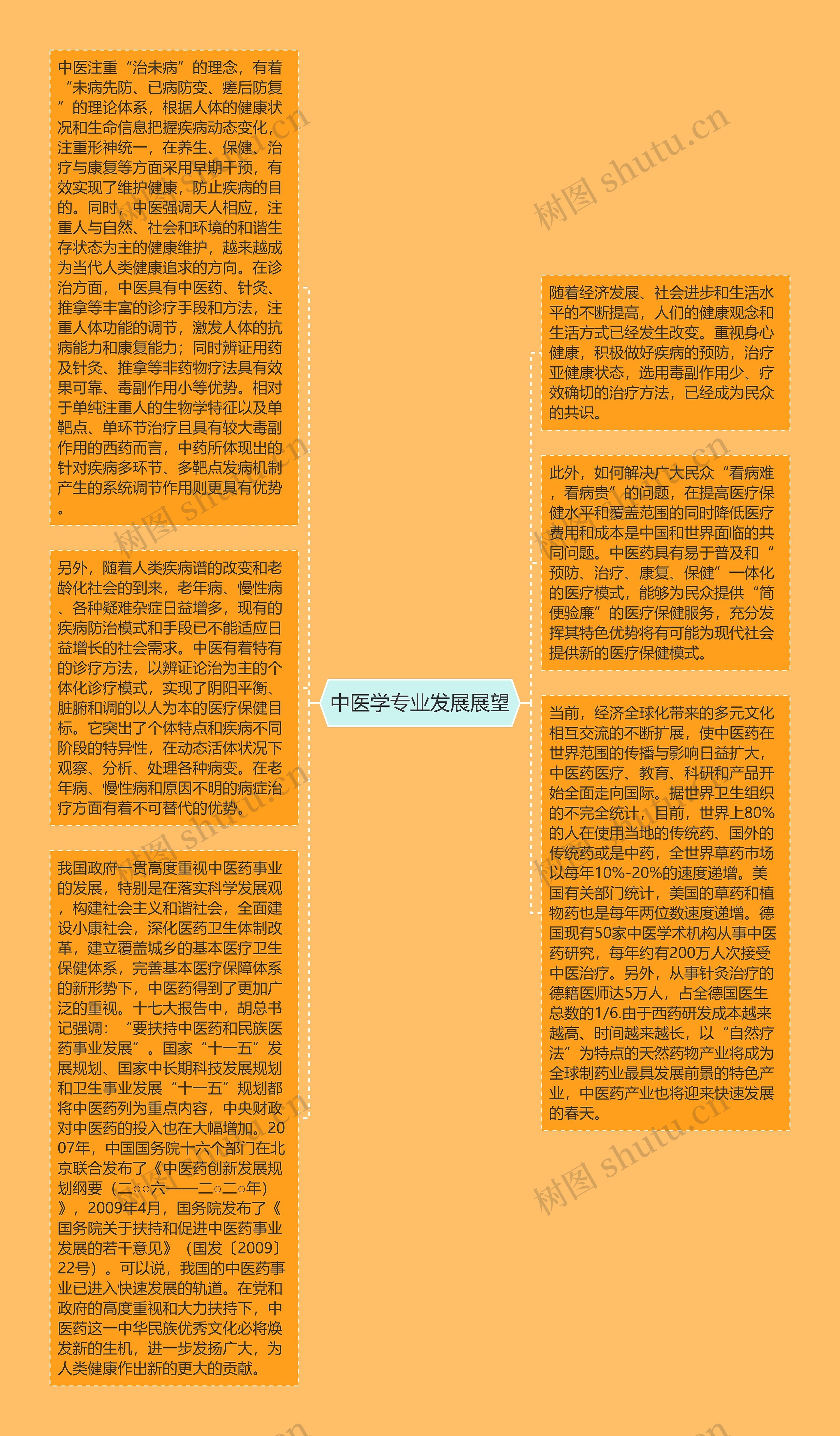 中医学专业发展展望思维导图