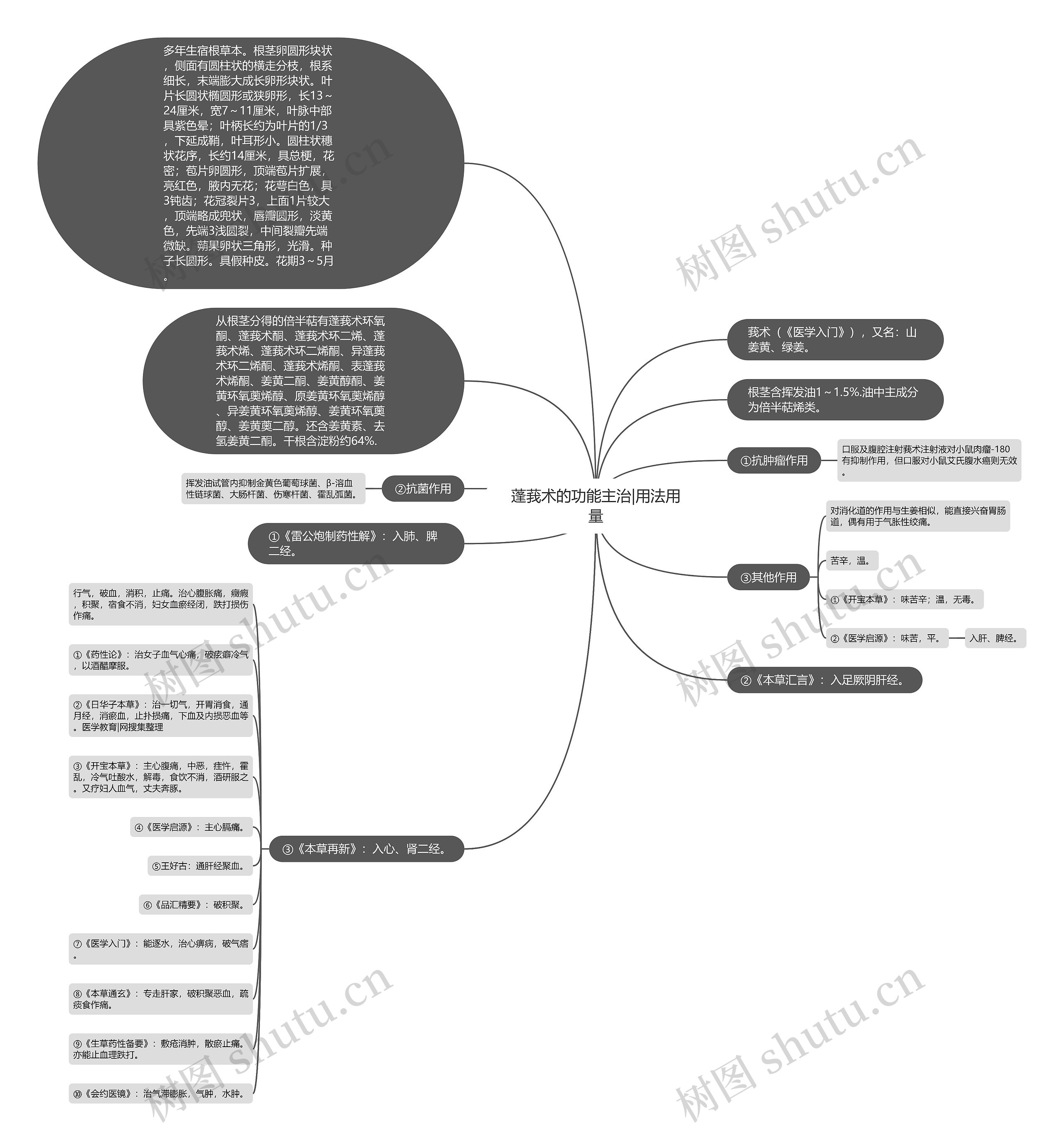 蓬莪术的功能主治|用法用量思维导图