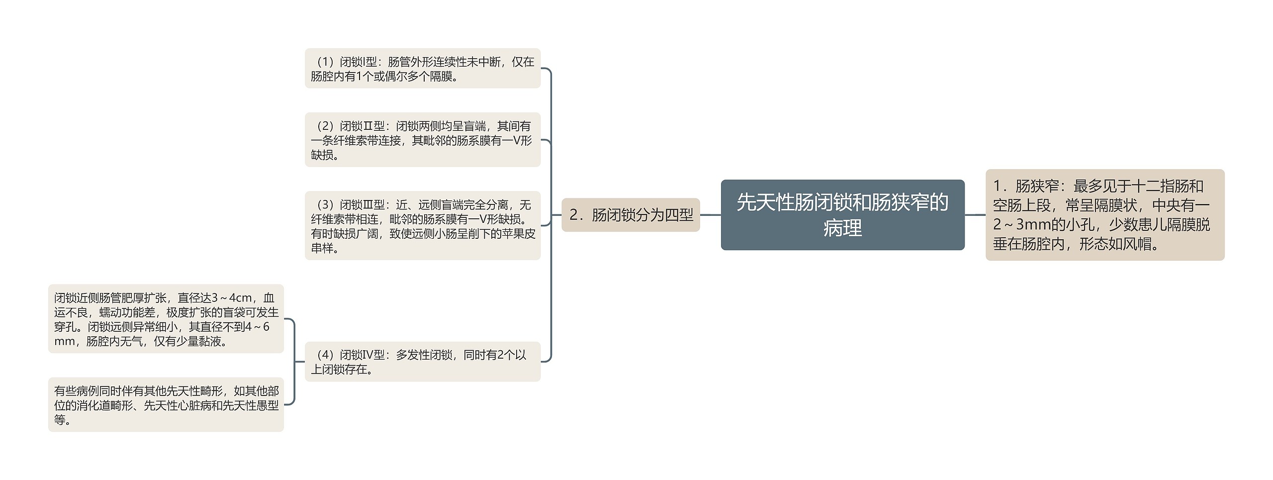 先天性肠闭锁和肠狭窄的病理思维导图