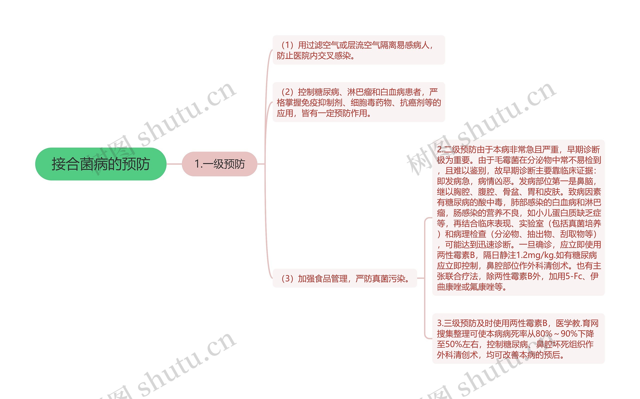 接合菌病的预防