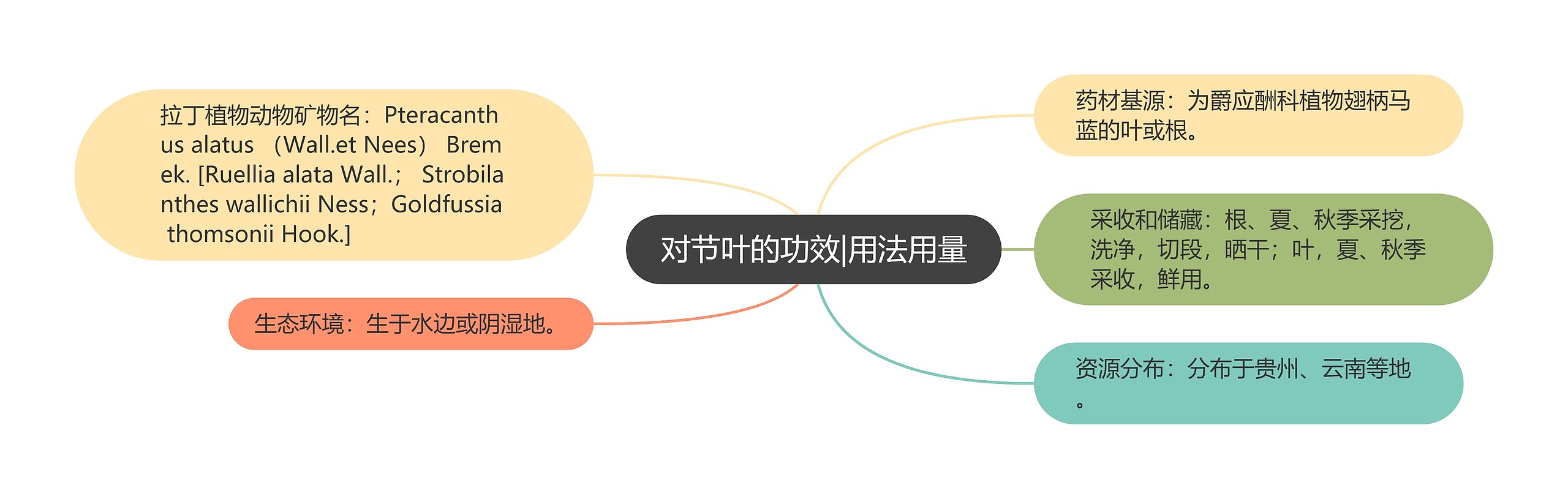 对节叶的功效|用法用量思维导图