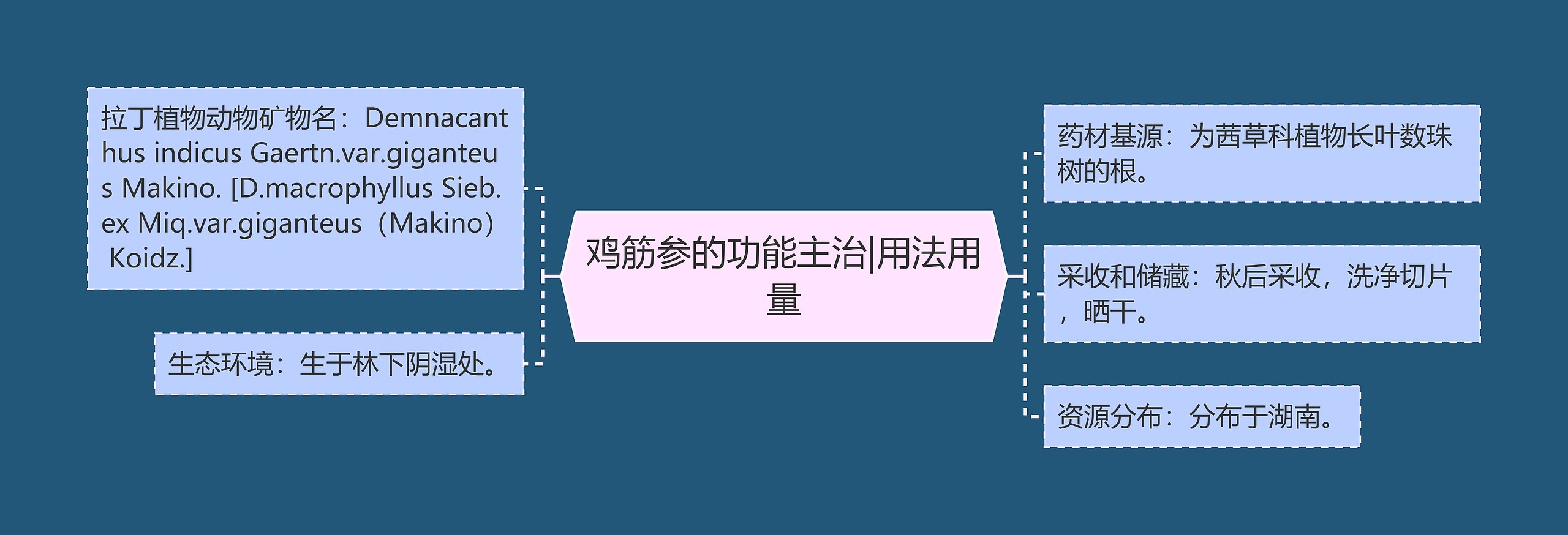 鸡筋参的功能主治|用法用量思维导图