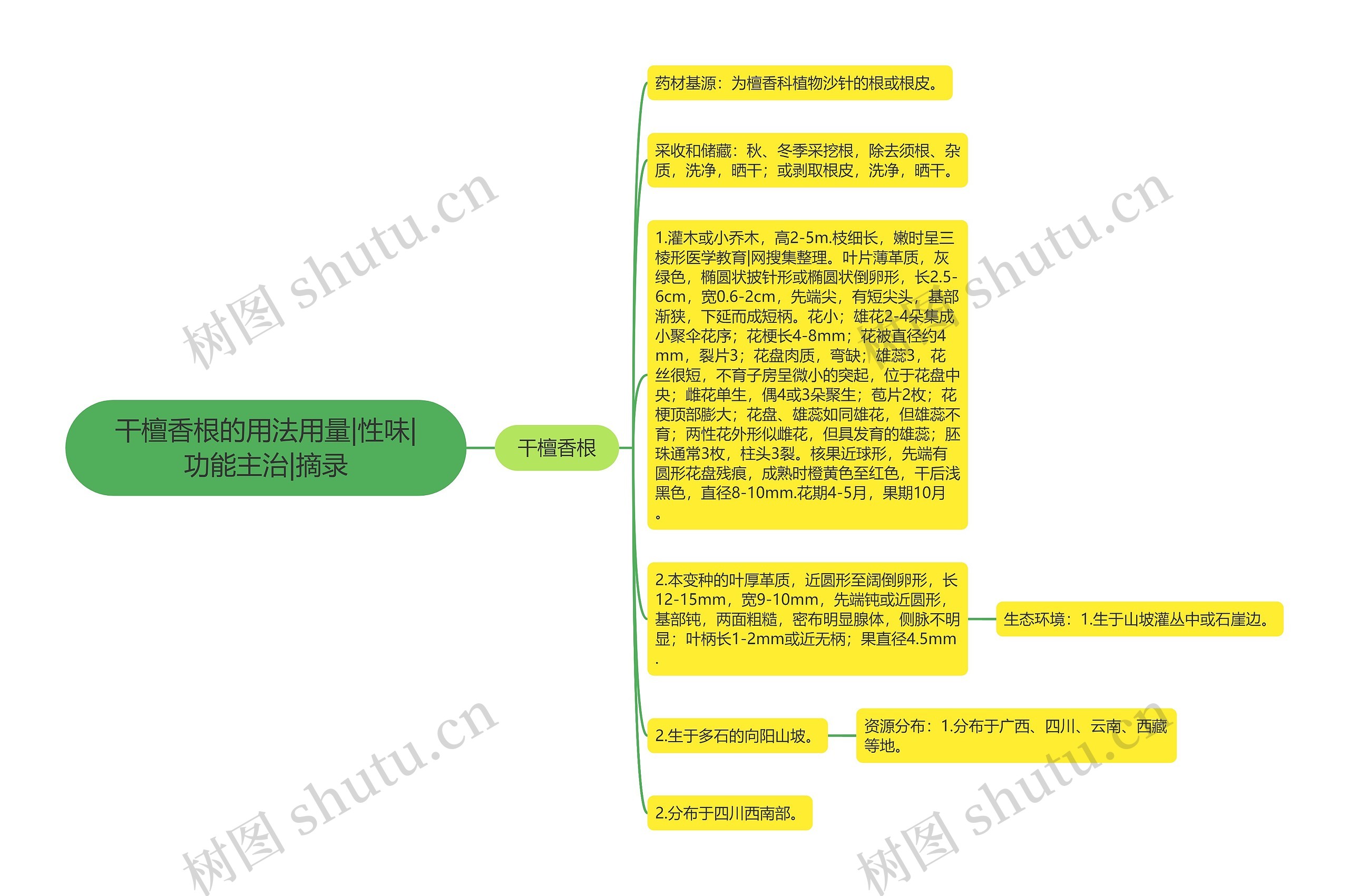 干檀香根的用法用量|性味|功能主治|摘录