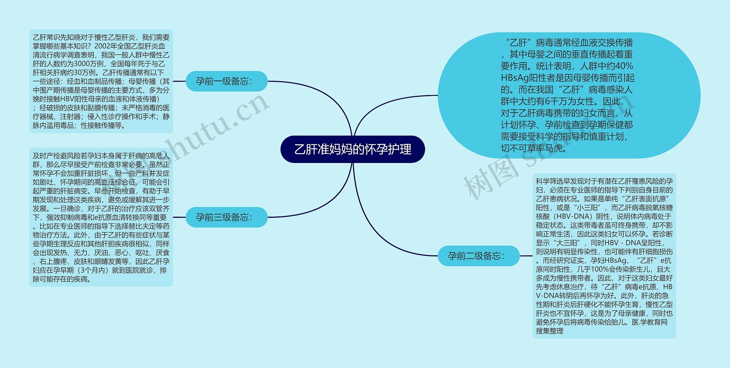 乙肝准妈妈的怀孕护理思维导图