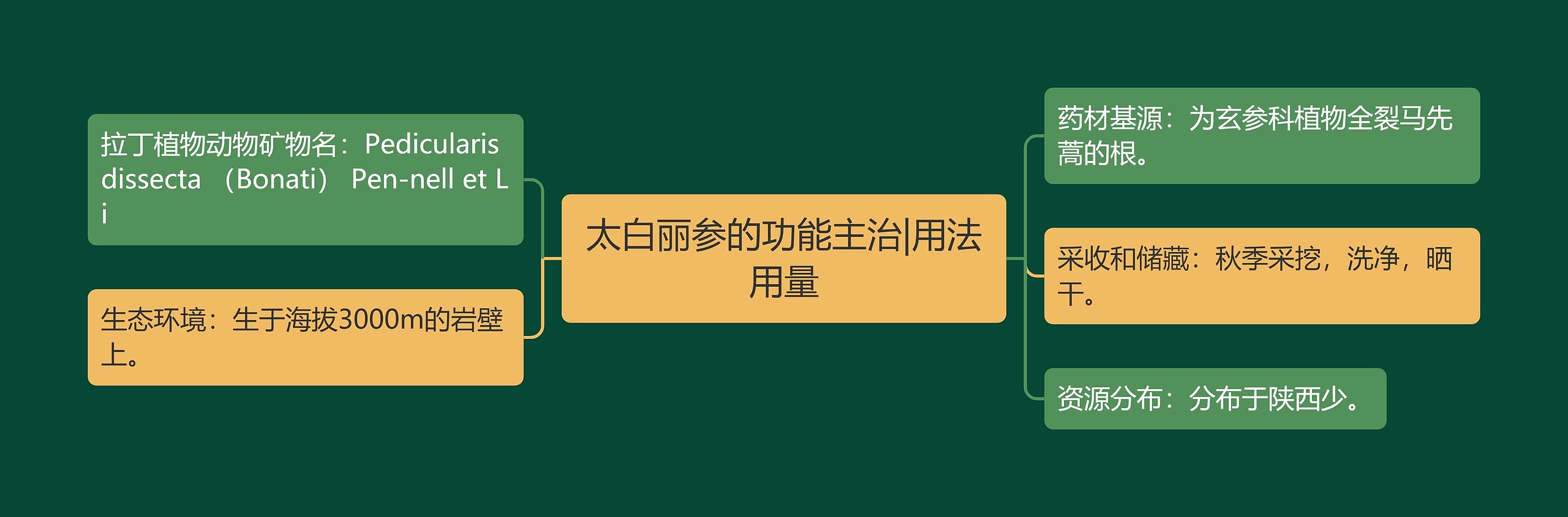 太白丽参的功能主治|用法用量 太白丽参的功能主治|用法用量
