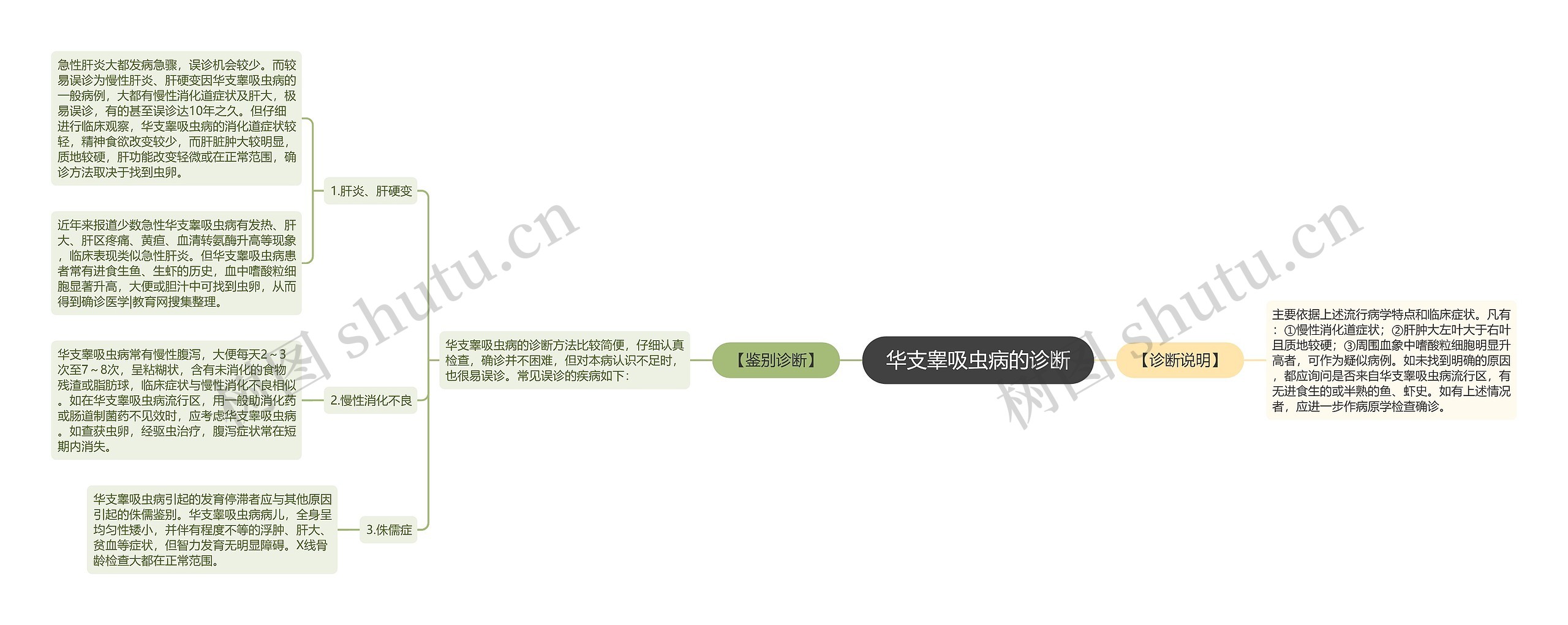 华支睾吸虫病的诊断 华支睾吸虫病的诊断