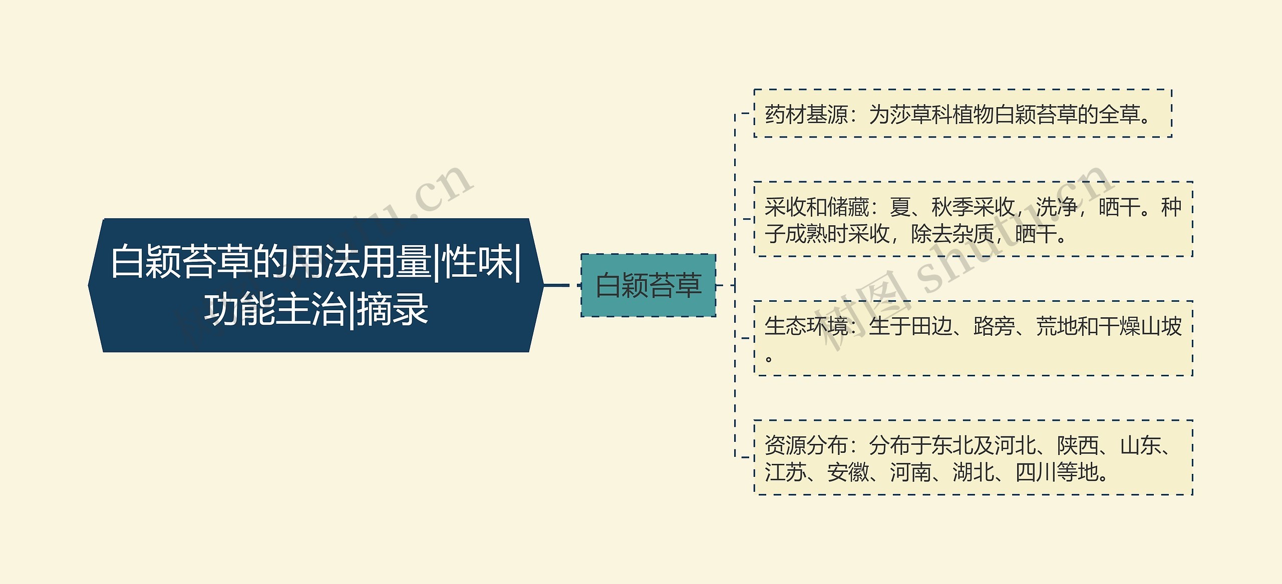 白颖苔草的用法用量|性味|功能主治|摘录思维导图