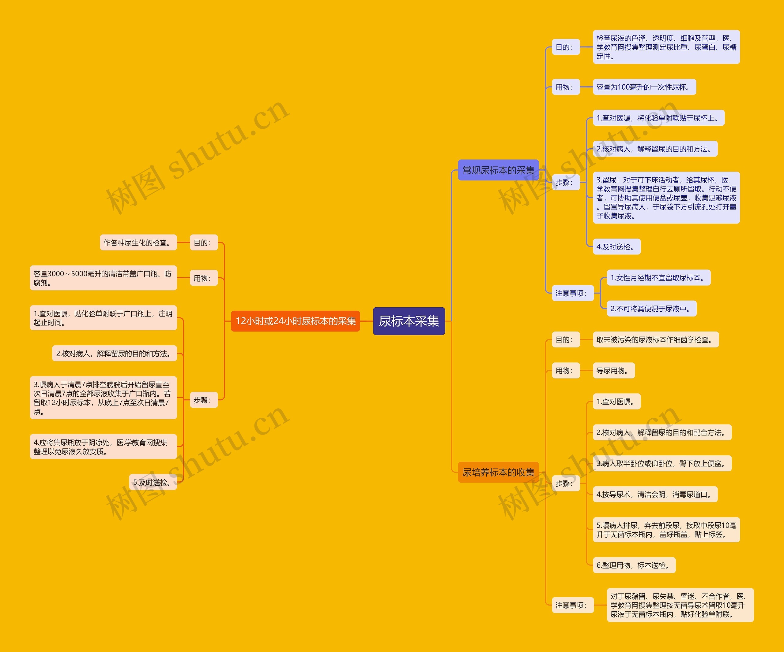 尿标本采集思维导图