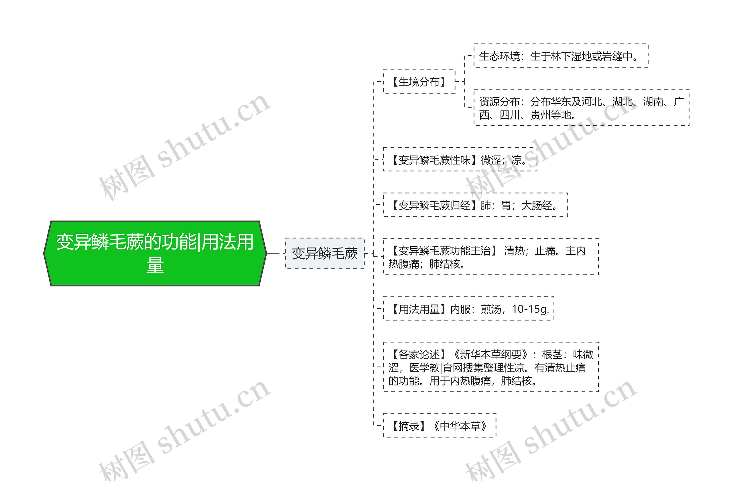 变异鳞毛蕨的功能|用法用量思维导图