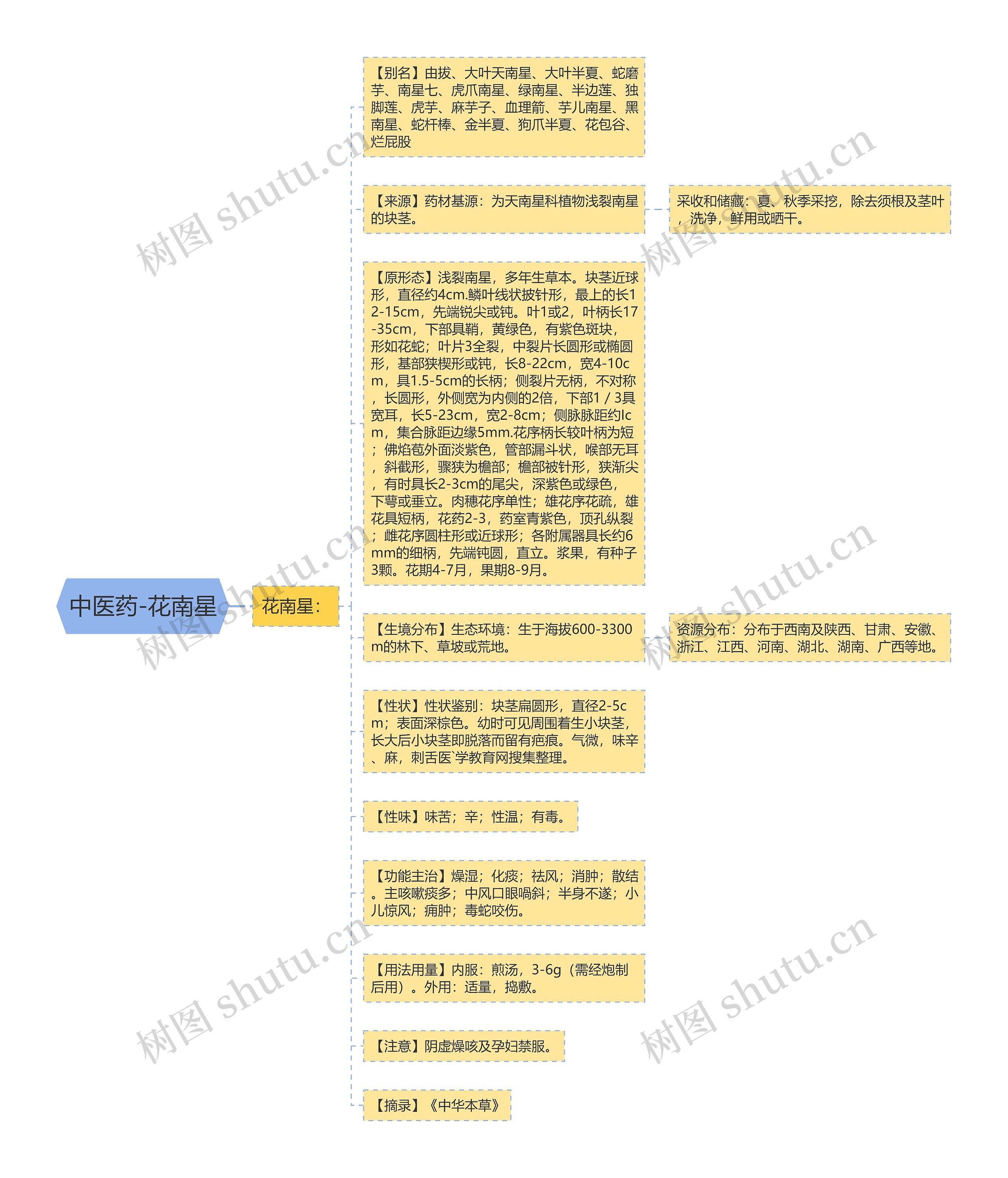 中医药-花南星思维导图