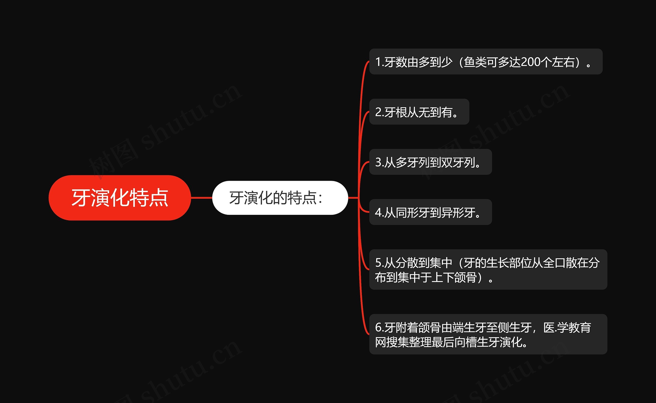 牙演化特点 牙演化特点