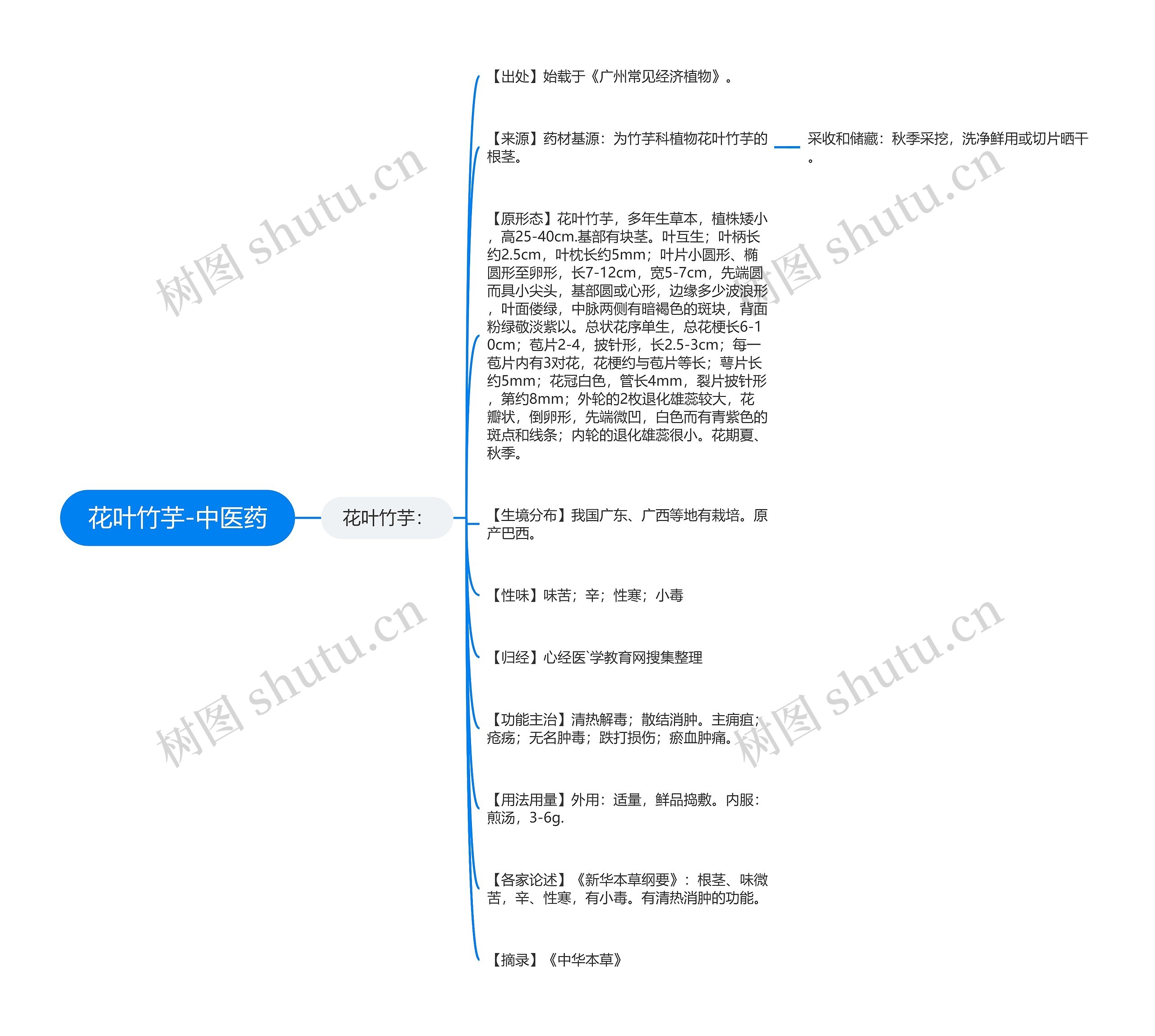 花叶竹芋-中医药思维导图