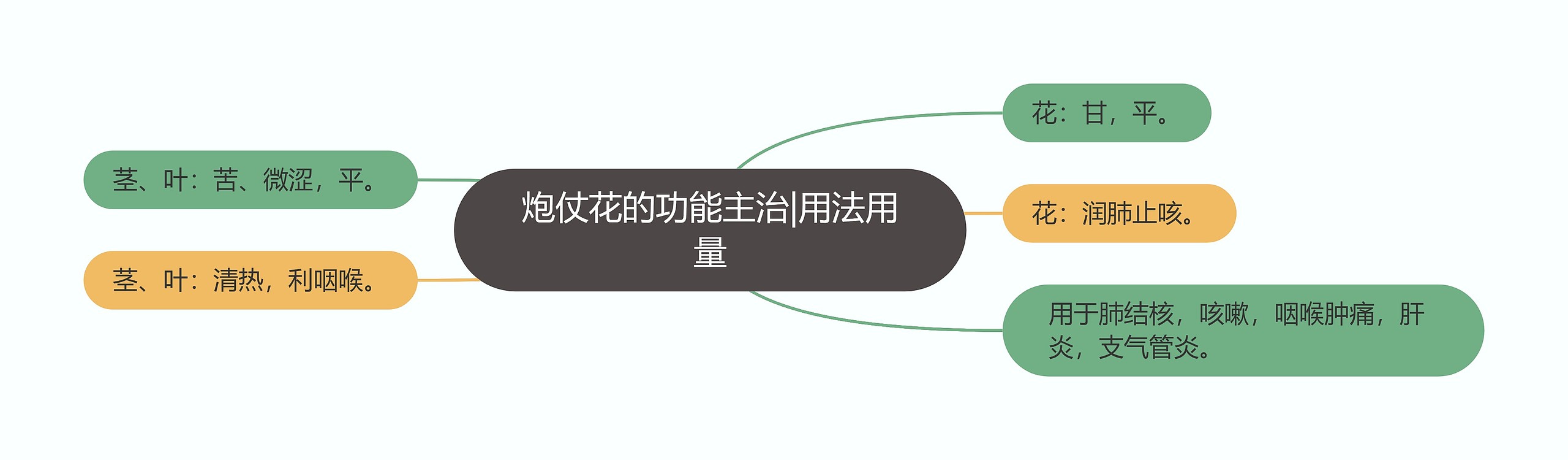 炮仗花的功能主治|用法用量 炮仗花的功能主治|用法用量