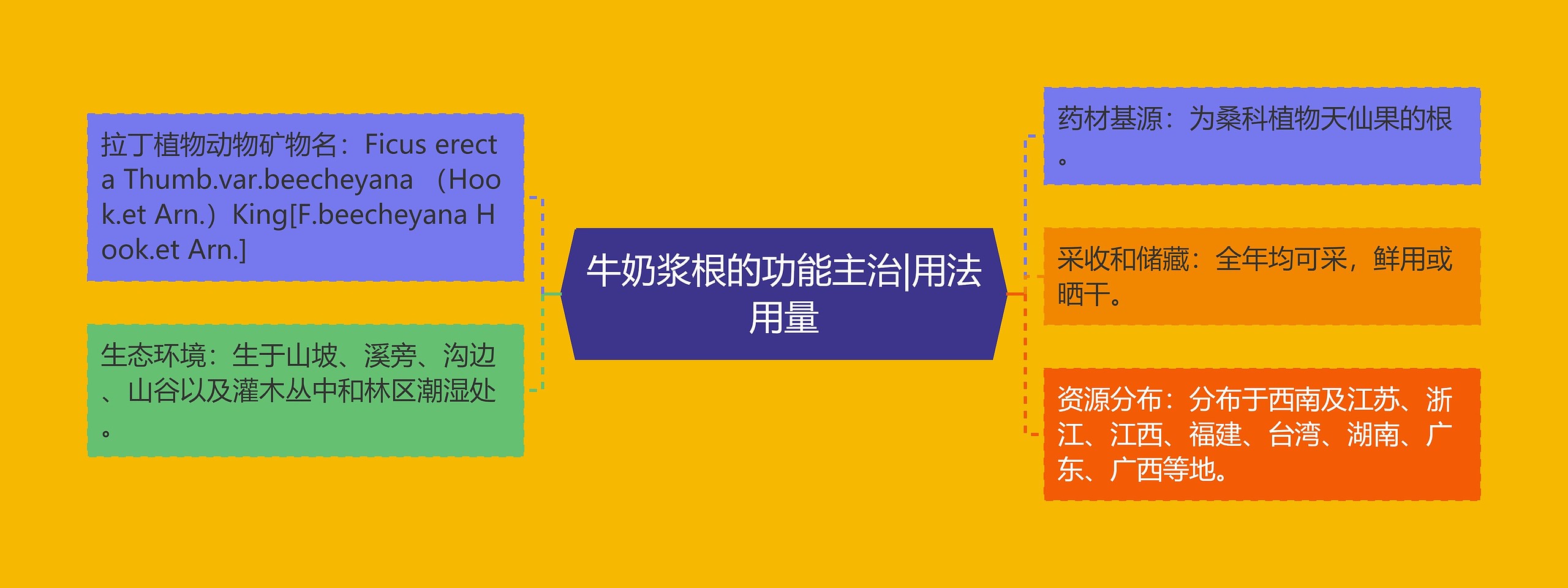 牛奶浆根的功能主治|用法用量 牛奶浆根的功能主治|用法用量