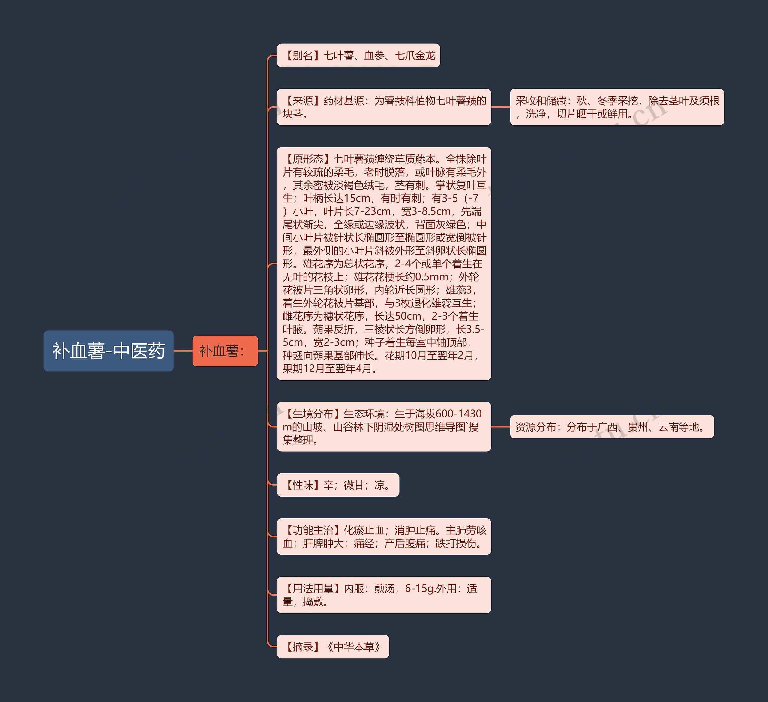 补血薯-中医药 补血薯-中医药