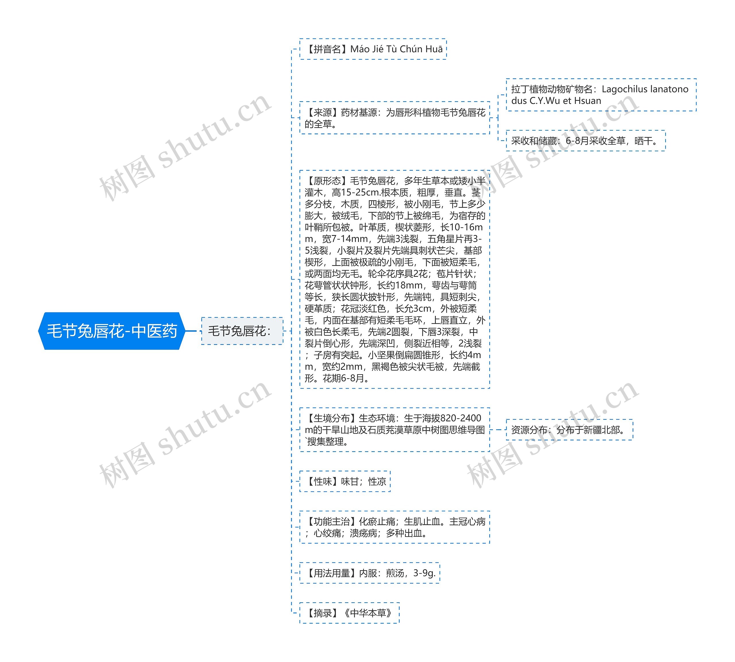 毛节兔唇花-中医药思维导图