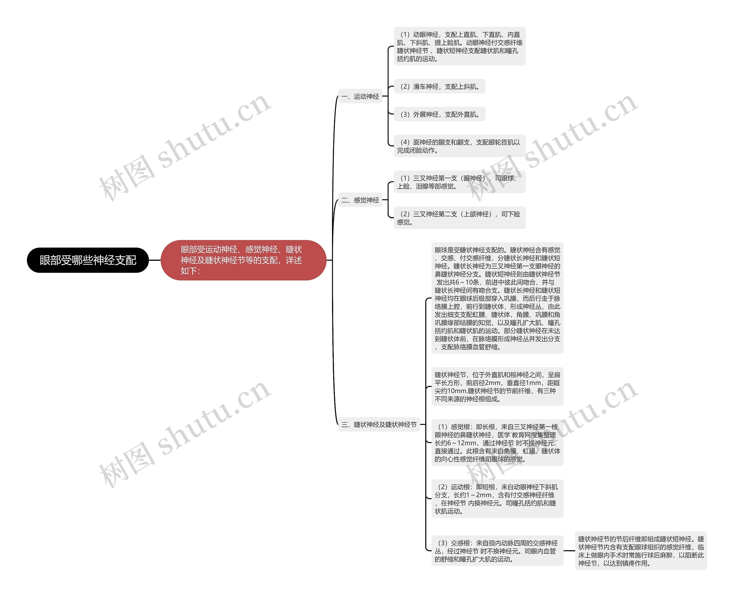 眼部受哪些神经支配思维导图