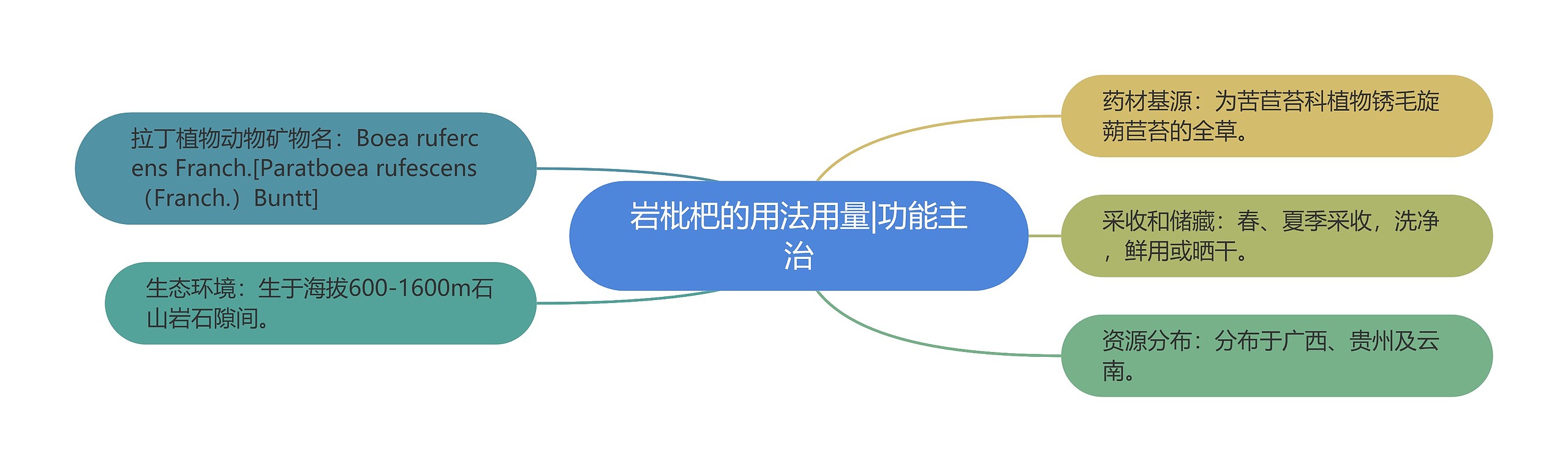 岩枇杷的用法用量|功能主治 岩枇杷的用法用量|功能主治