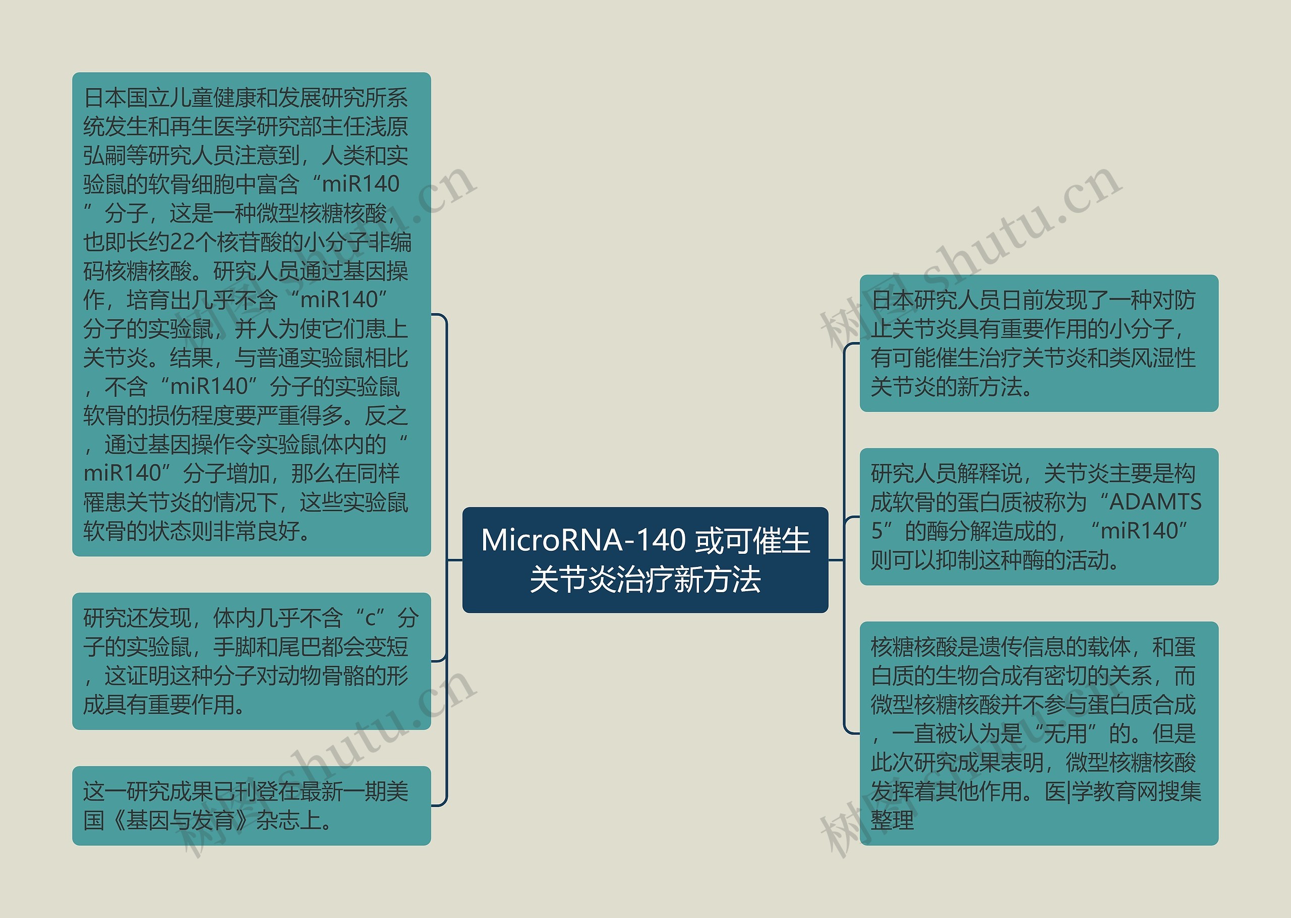 MicroRNA-140 或可催生关节炎治疗新方法思维导图