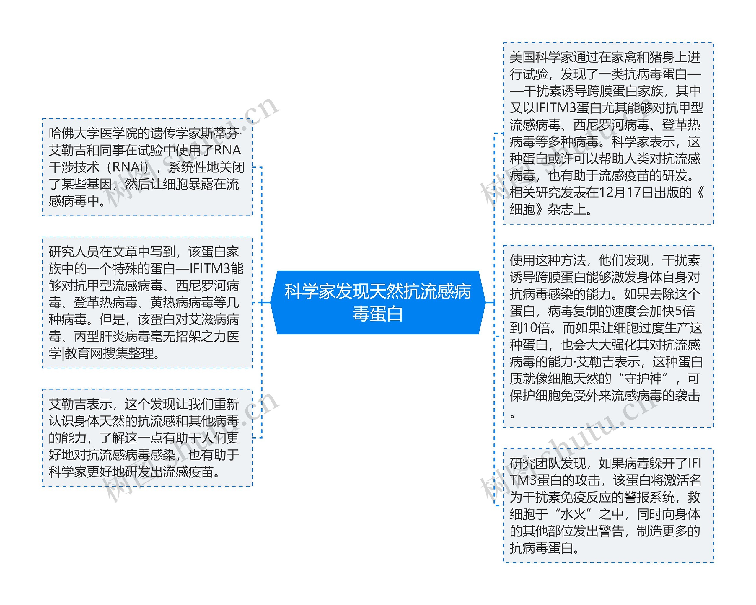 科学家发现天然抗流感病毒蛋白思维导图