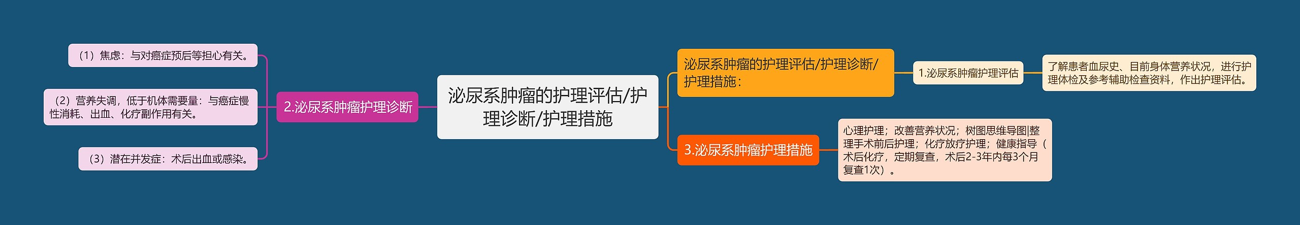 泌尿系肿瘤的护理评估/护理诊断/护理措施思维导图