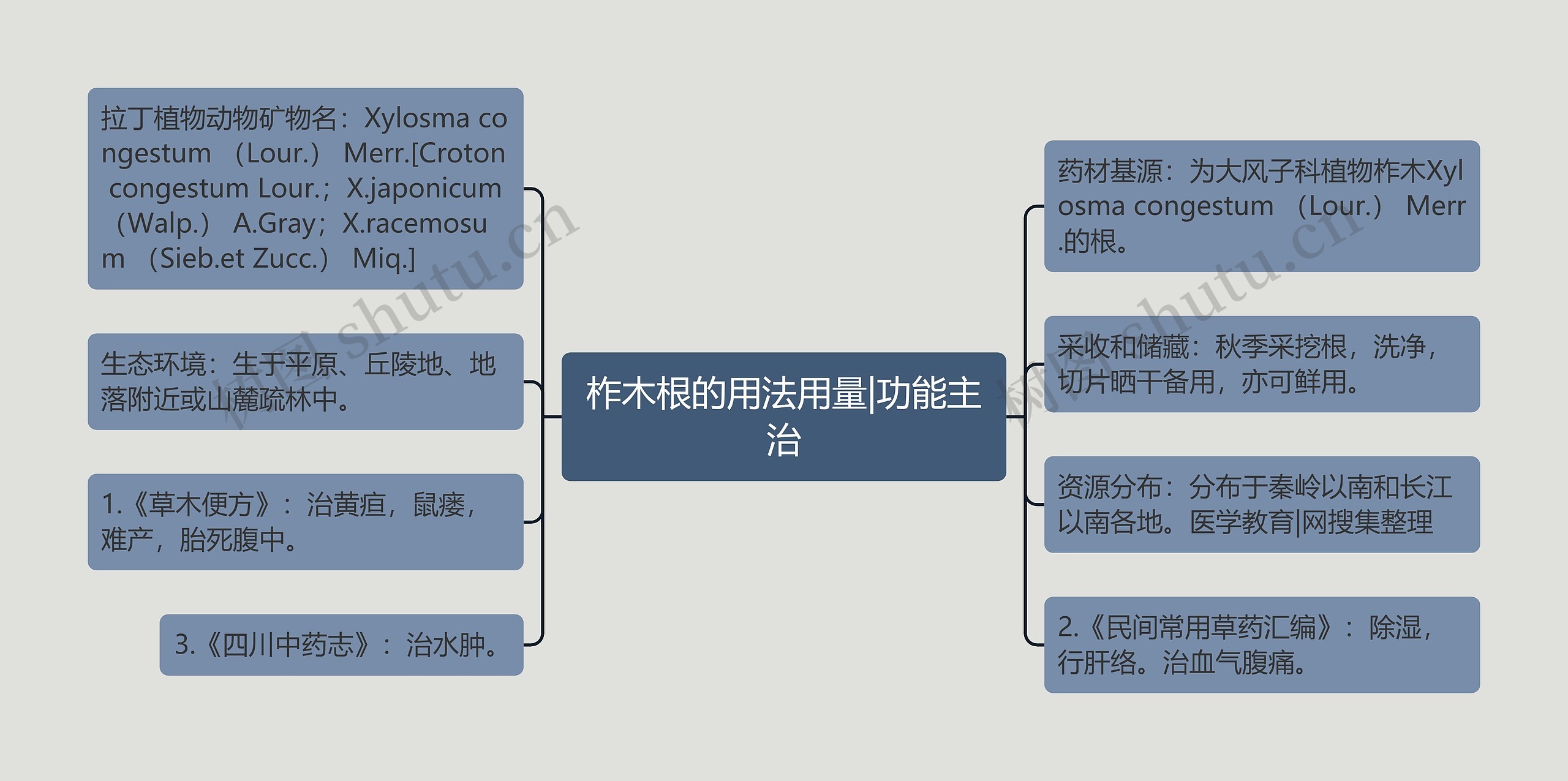 柞木根的用法用量|功能主治