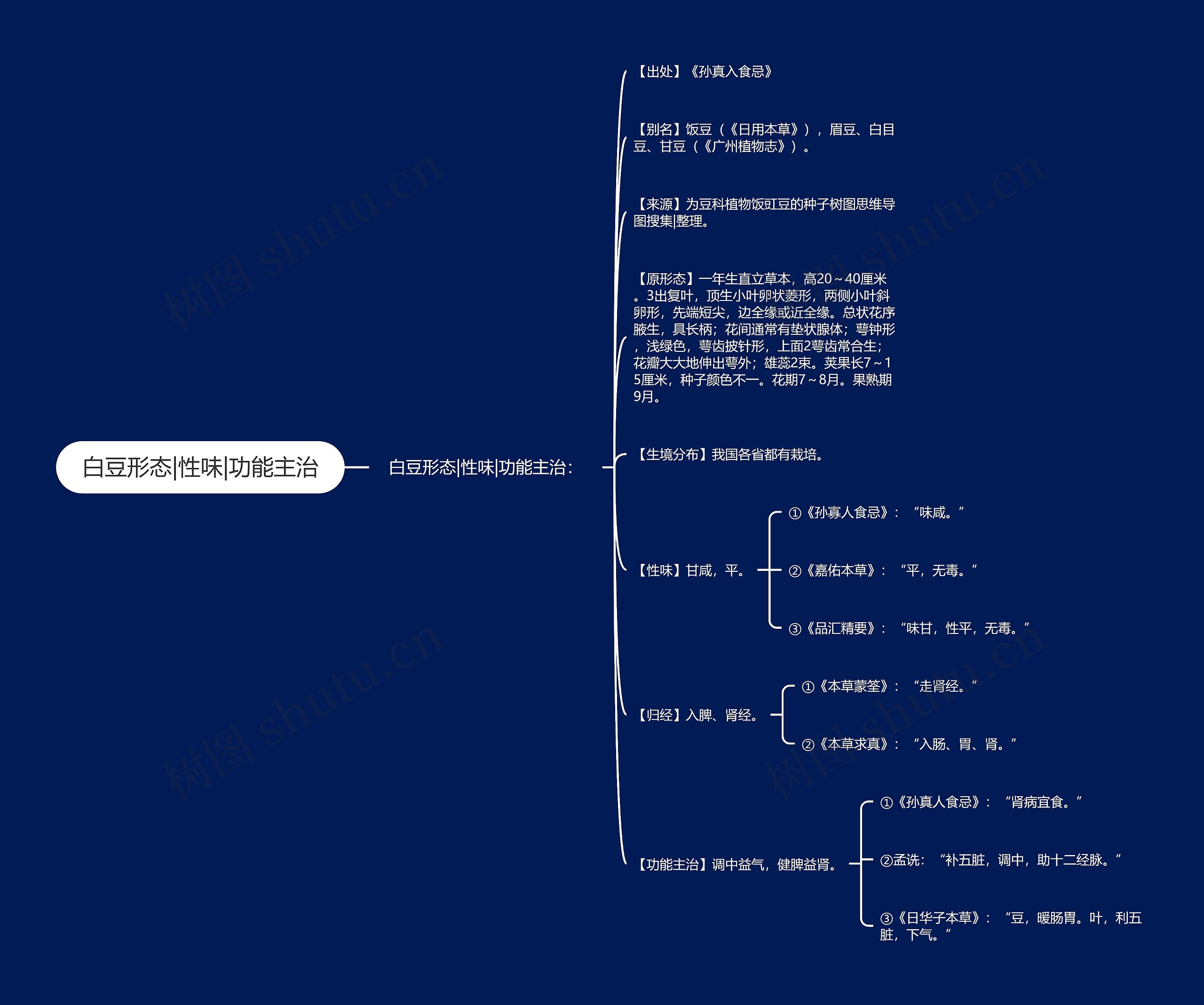 白豆形态|性味|功能主治思维导图