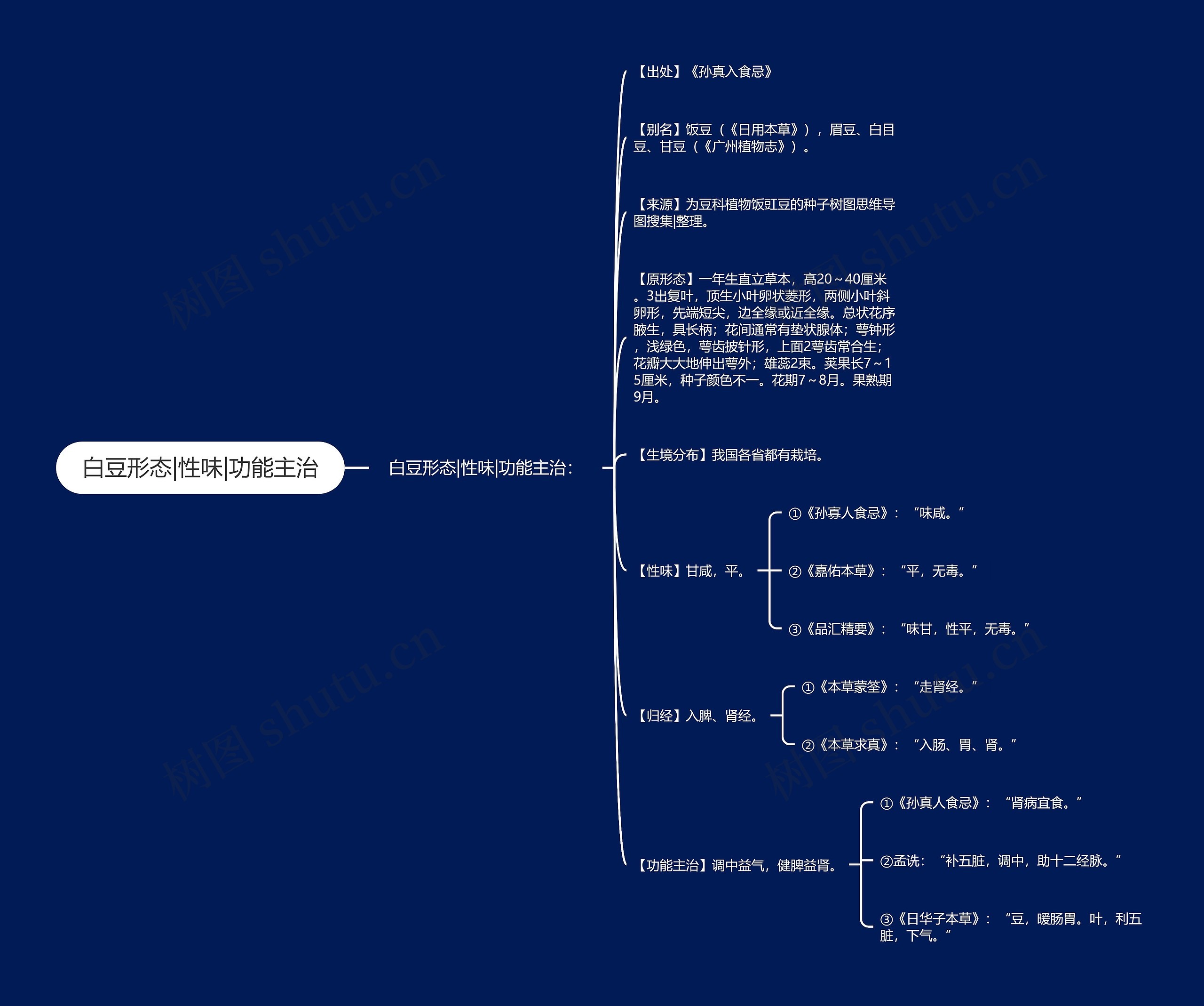 白豆形态|性味|功能主治 白豆形态|性味|功能主治