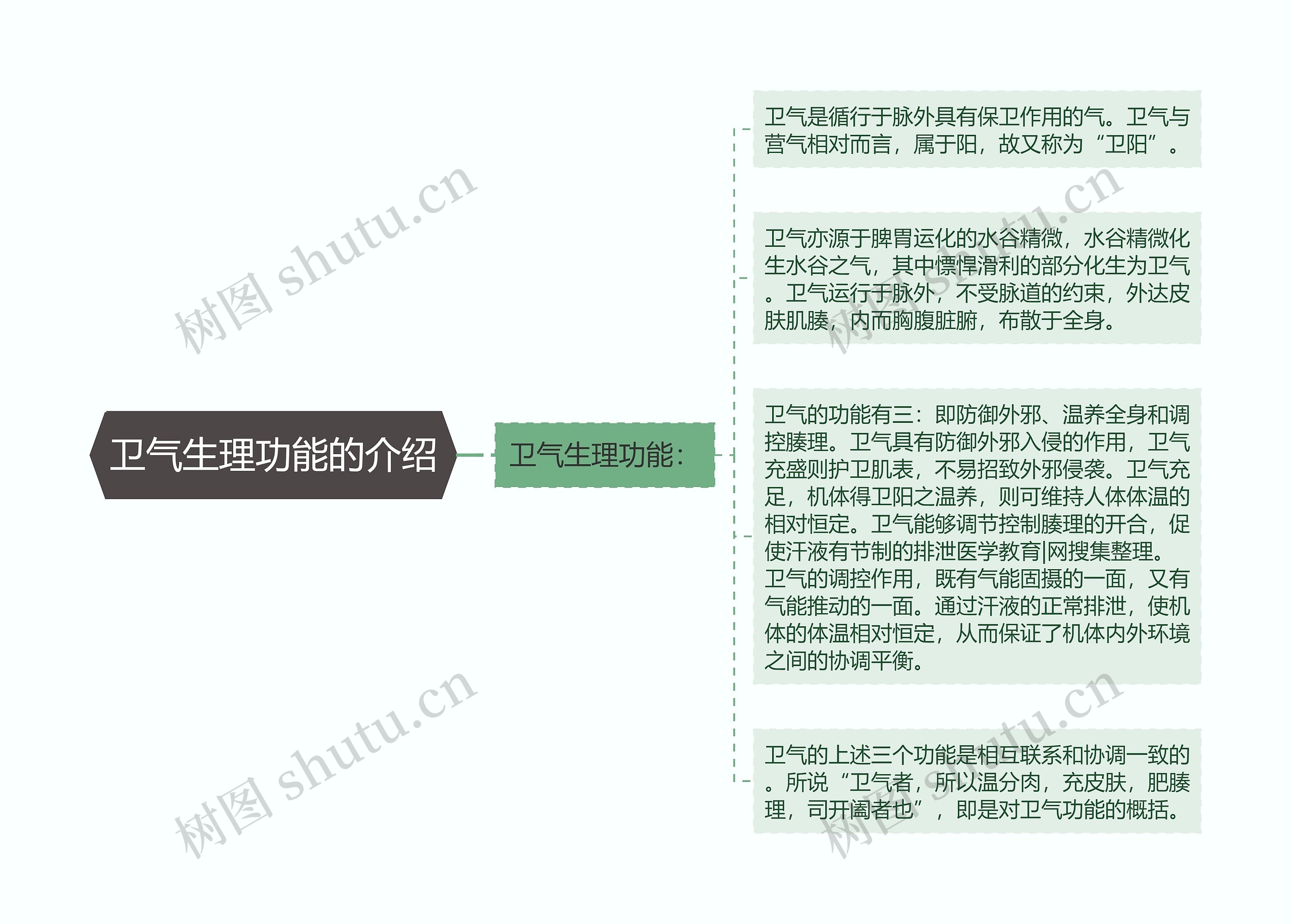 卫气生理功能的介绍思维导图