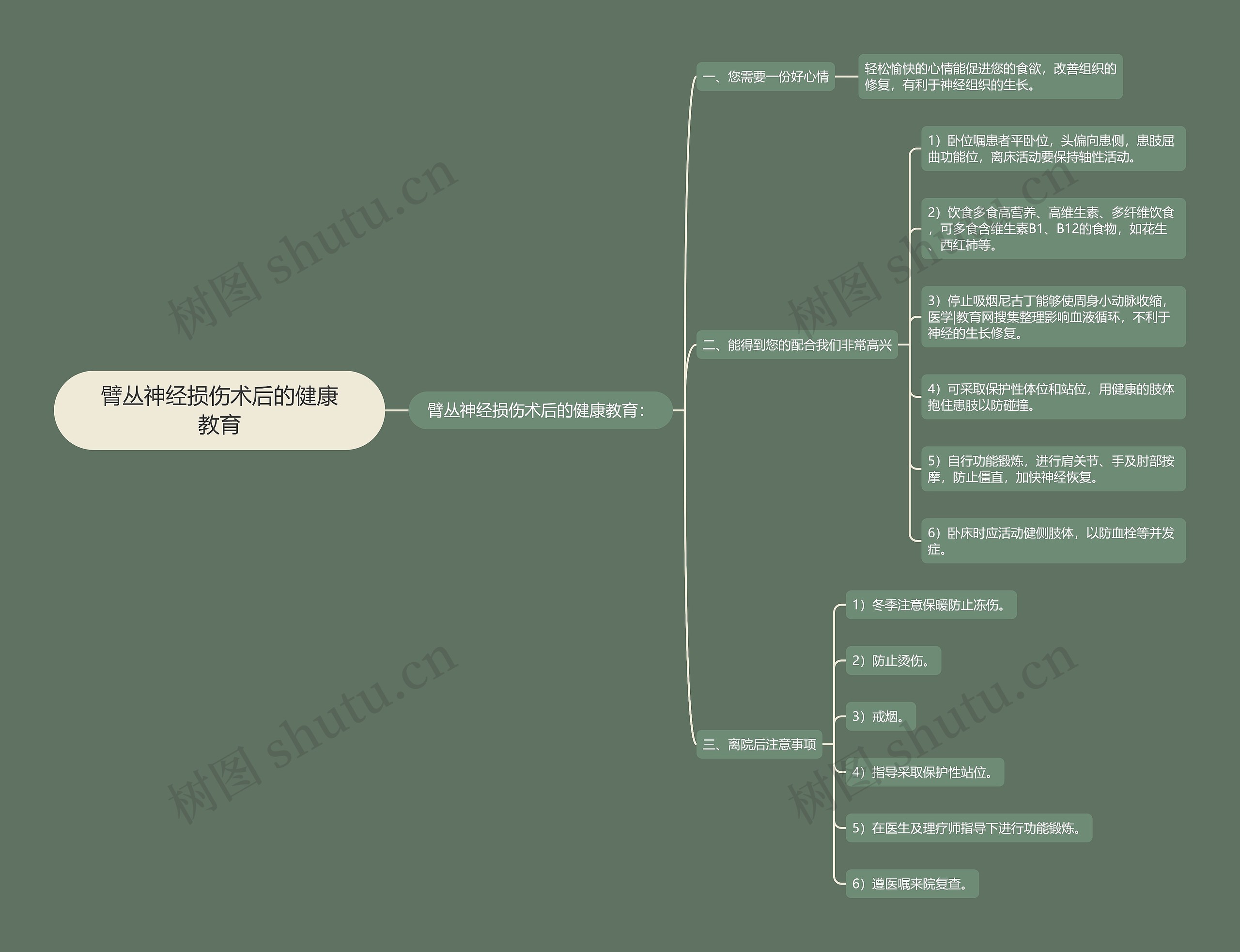 臂丛神经损伤术后的健康教育思维导图