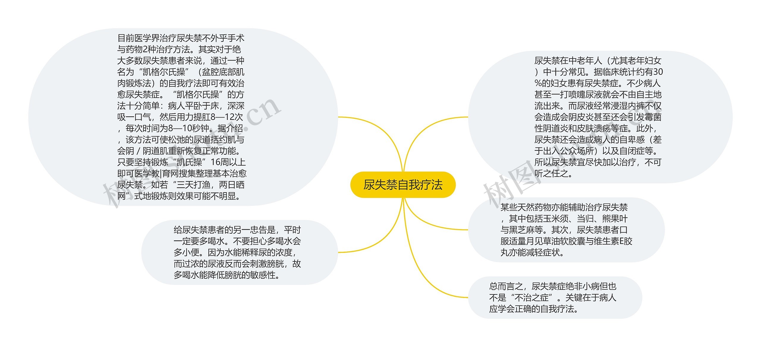 尿失禁自我疗法思维导图