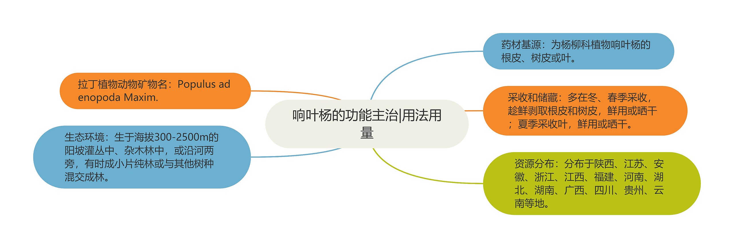 响叶杨的功能主治|用法用量 响叶杨的功能主治|用法用量