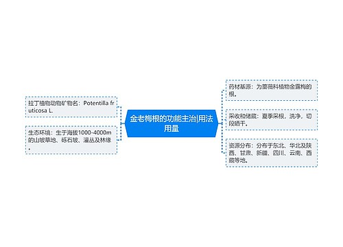 金老梅根的功能主治|用法用量