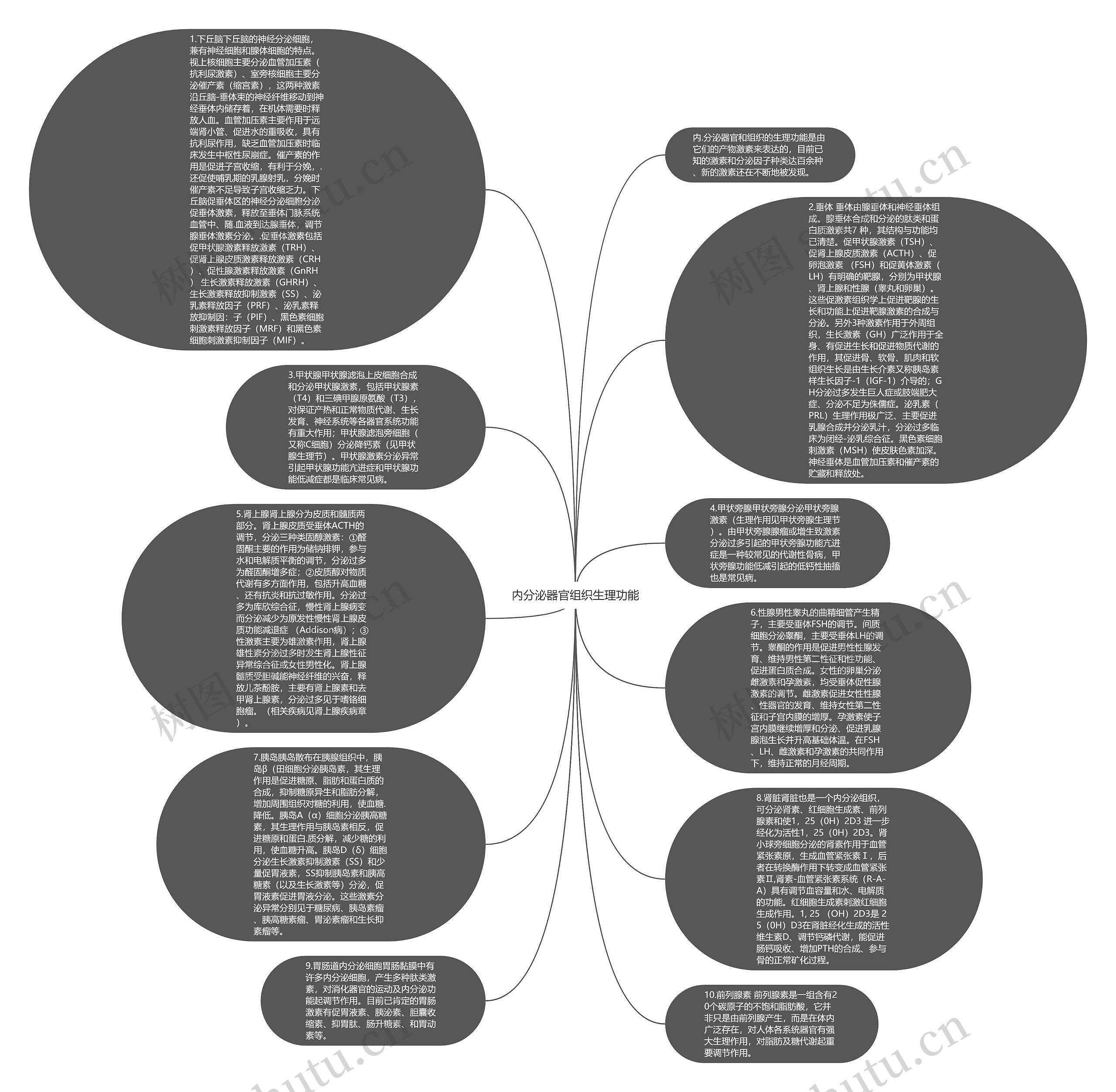 内分泌器官组织生理功能思维导图