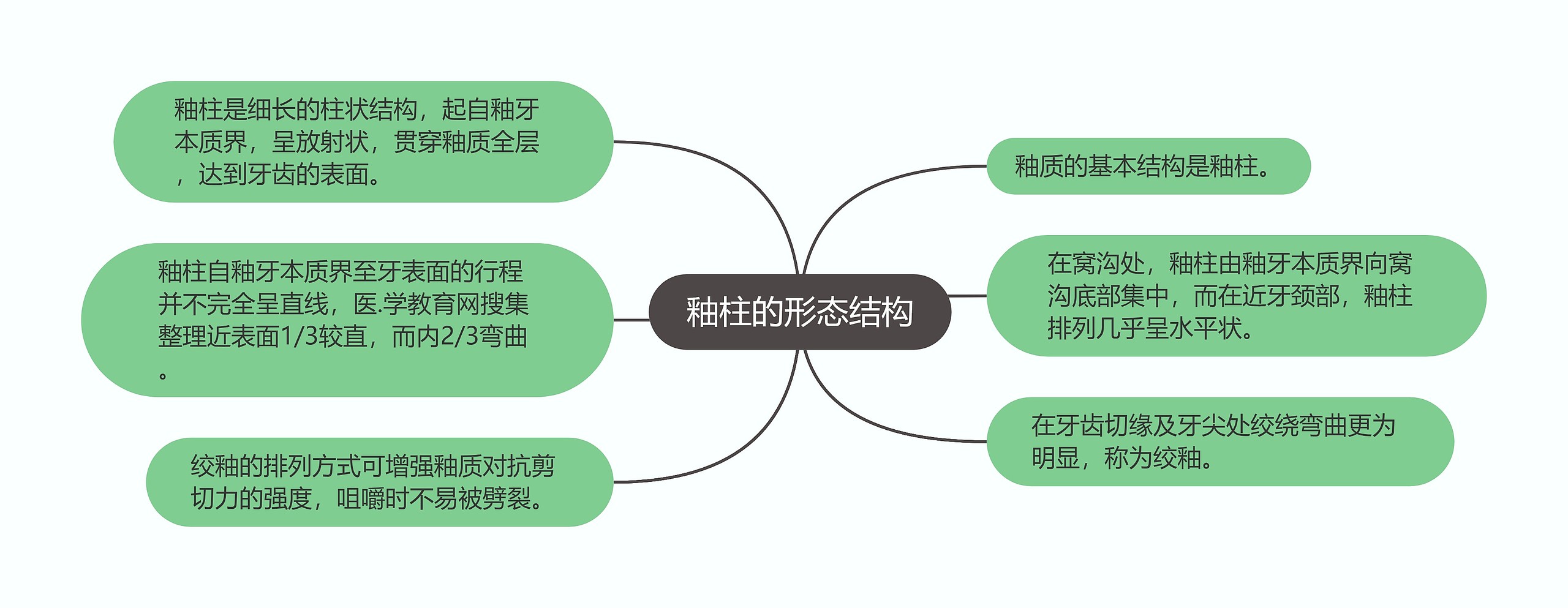 釉柱的形态结构