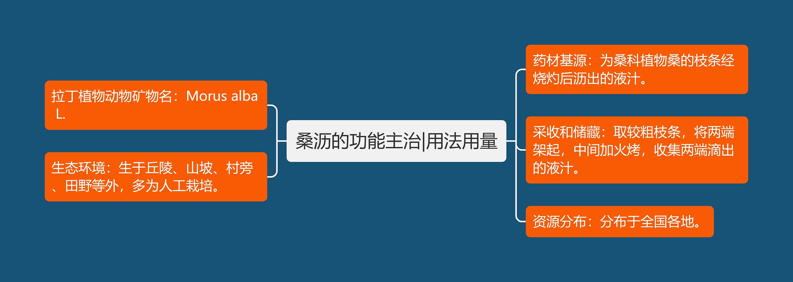 桑沥的功能主治|用法用量 桑沥的功能主治|用法用量