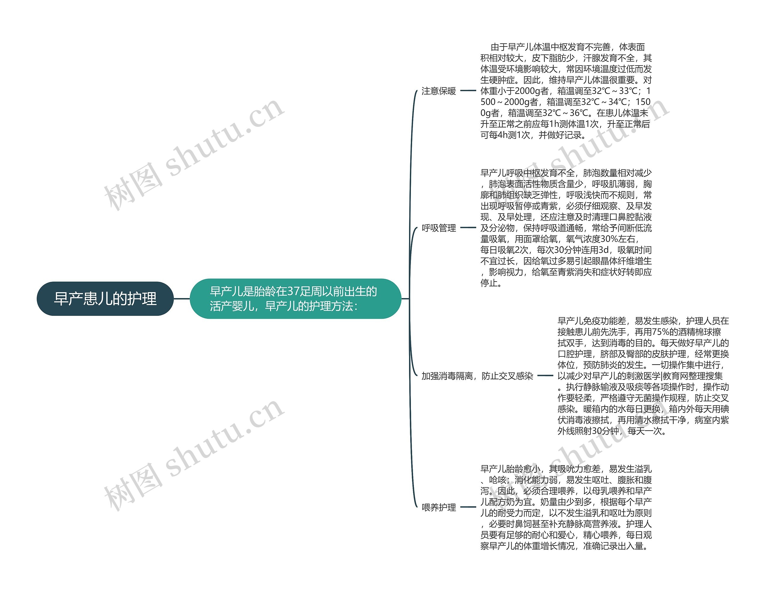 早产患儿的护理思维导图