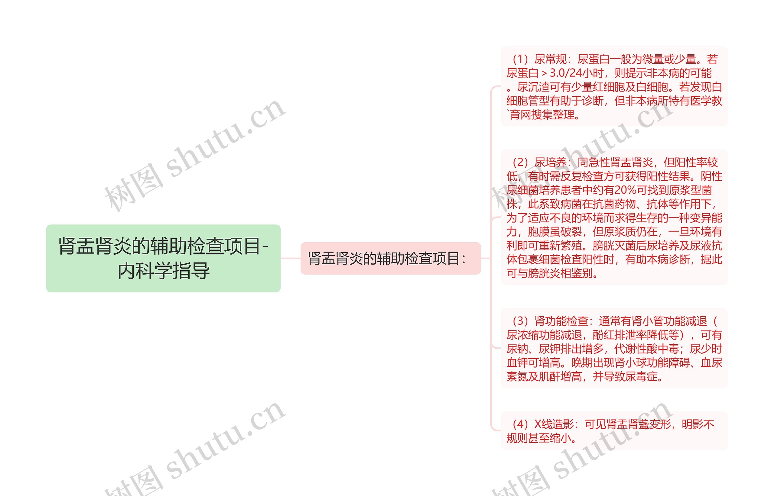 肾盂肾炎的辅助检查项目-内科学指导