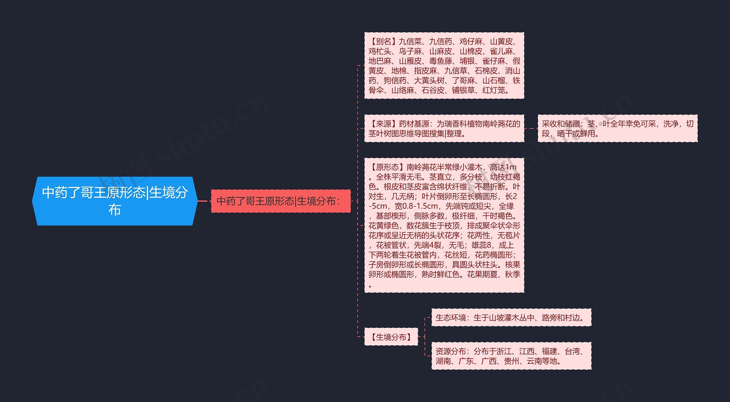 中药了哥王原形态|生境分布