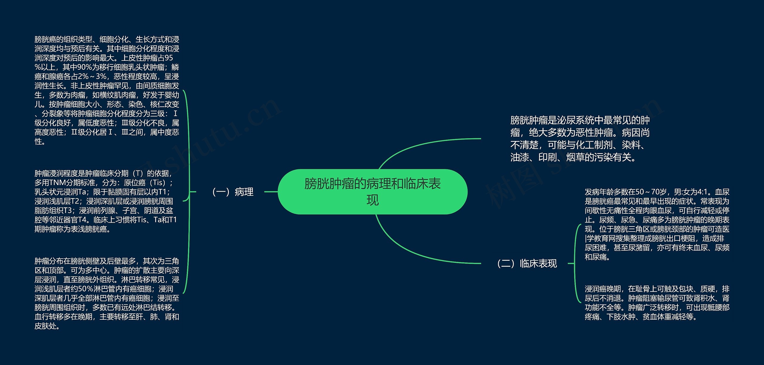 膀胱肿瘤的病理和临床表现