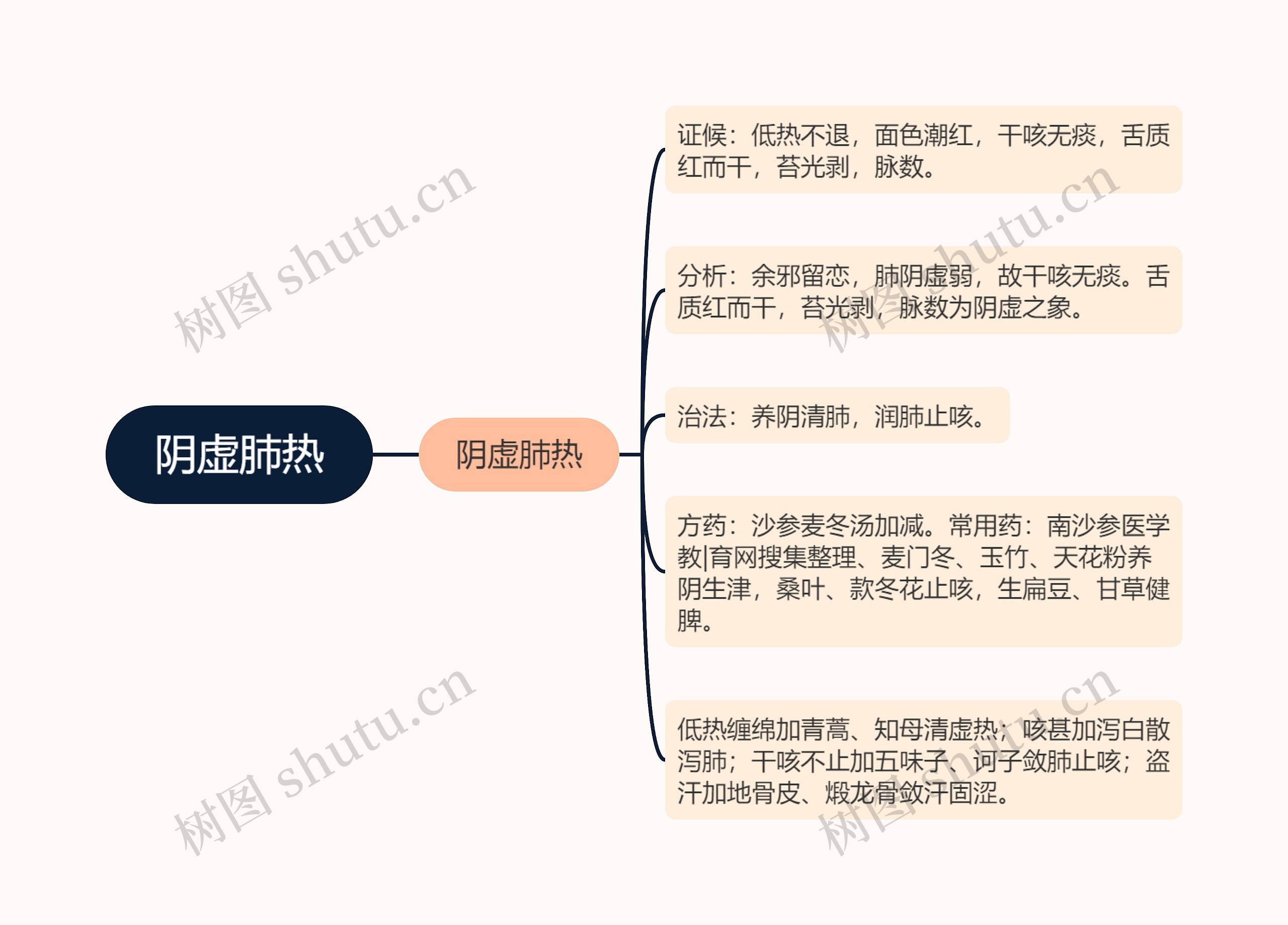 阴虚肺热思维导图