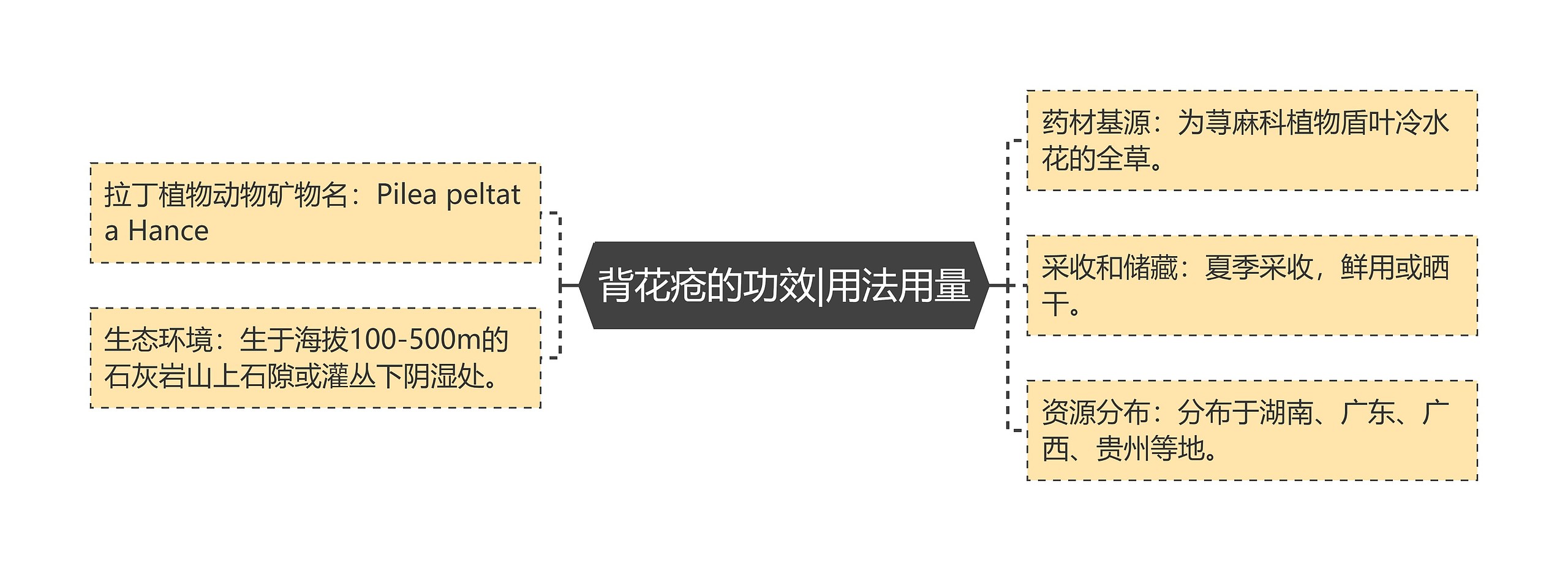 背花疮的功效|用法用量