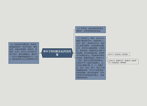 牵牛子的功能主治|用法用量