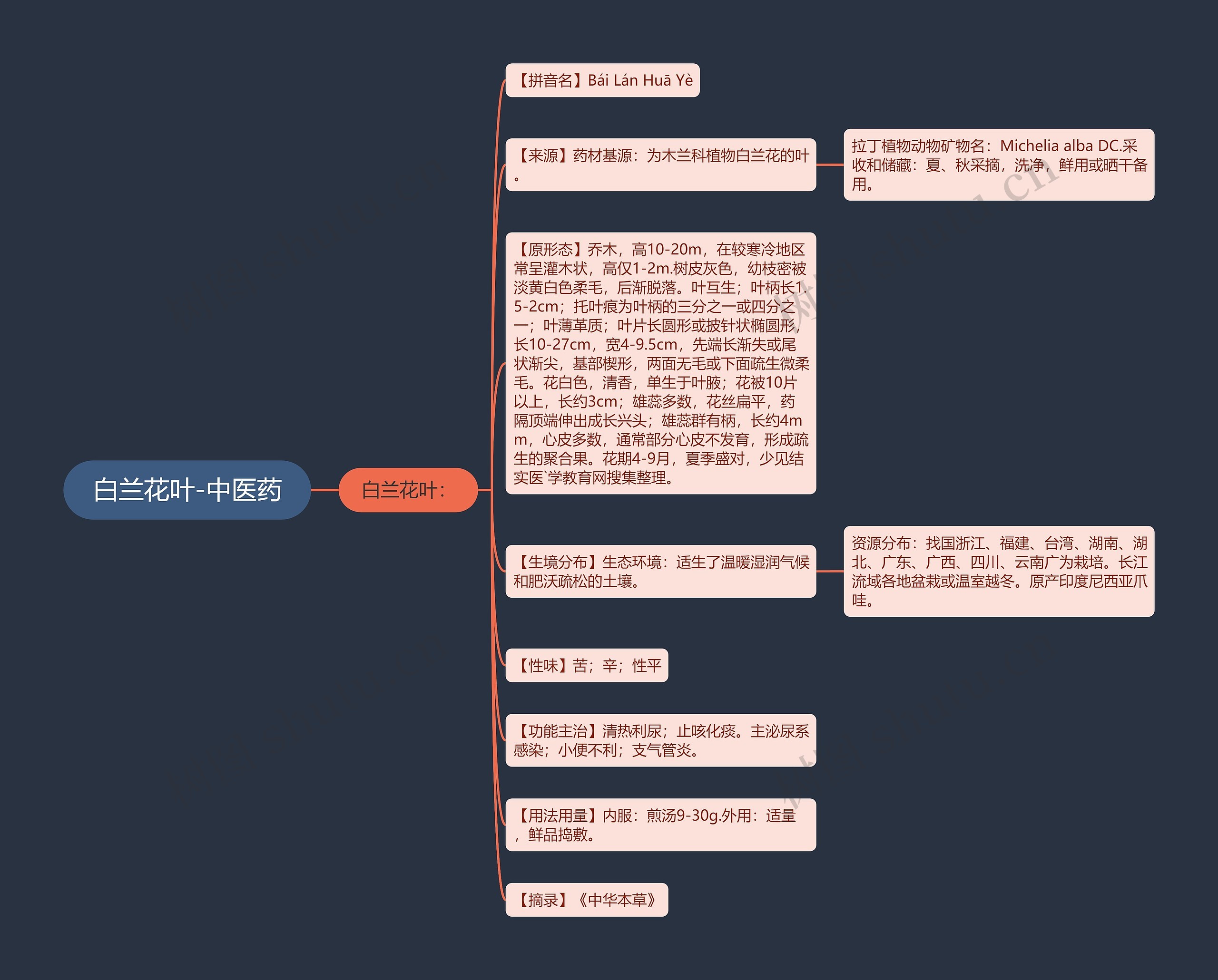 白兰花叶-中医药思维导图